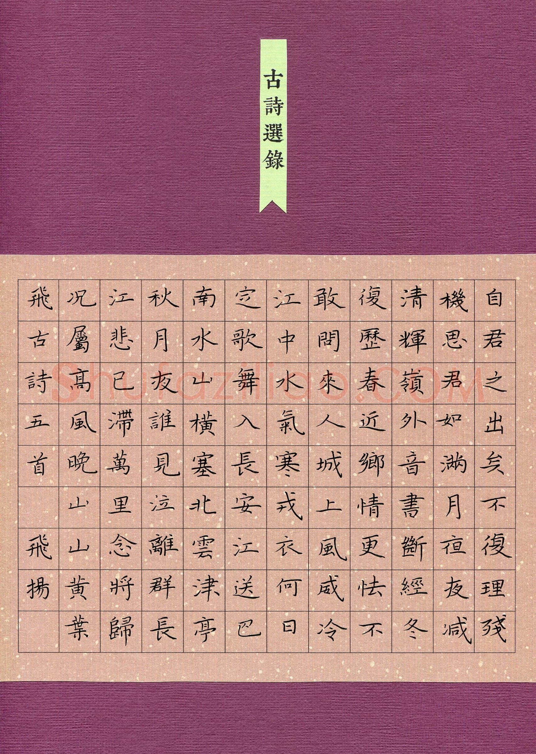 卿飞扬(少儿组 12岁)硬笔书法大赛入围作品选登,卿飞扬硬笔书法作品