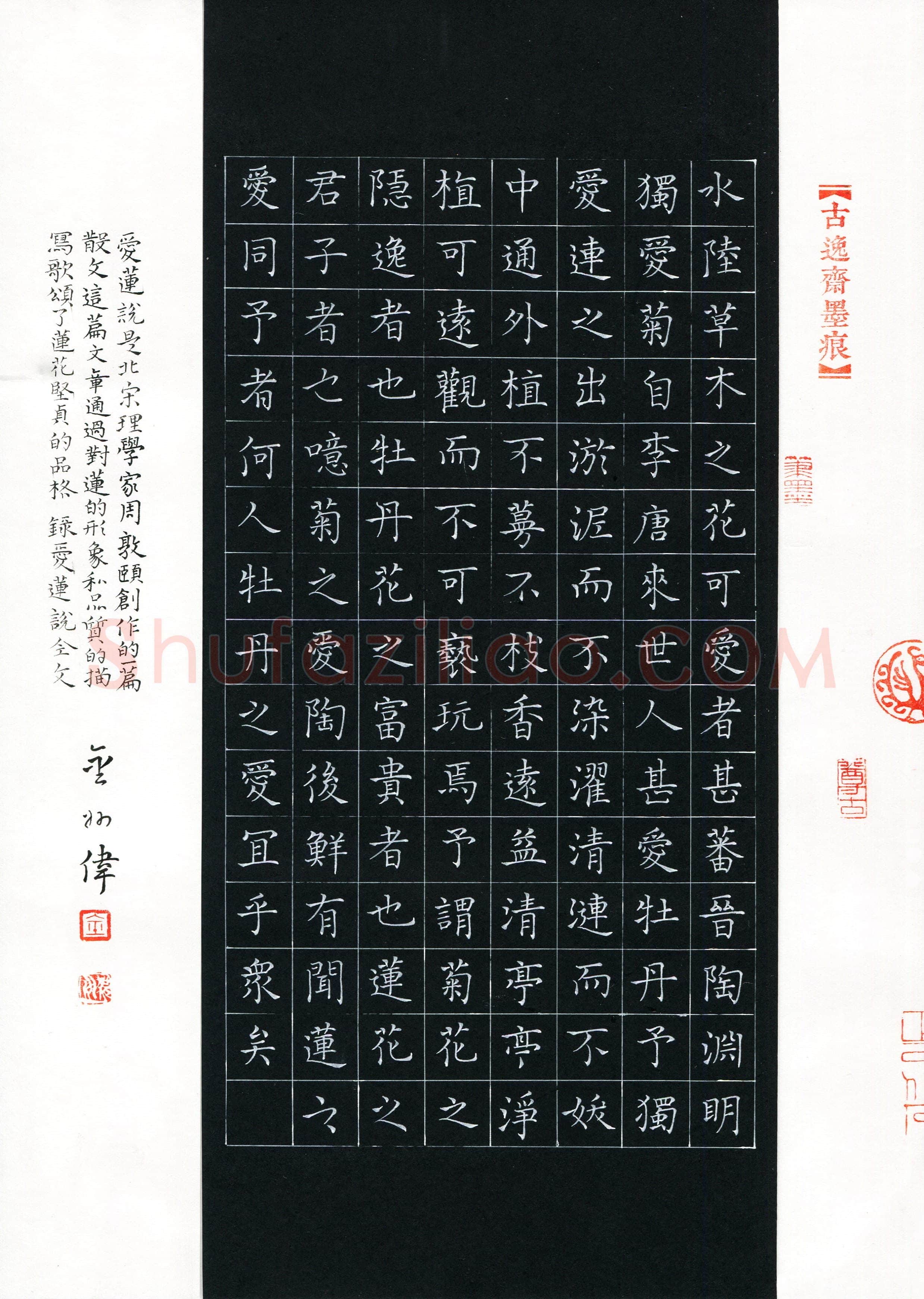 金州伟(成人组 楷书 优秀奖)硬笔书法大赛获奖作品,金州伟硬笔书法作品