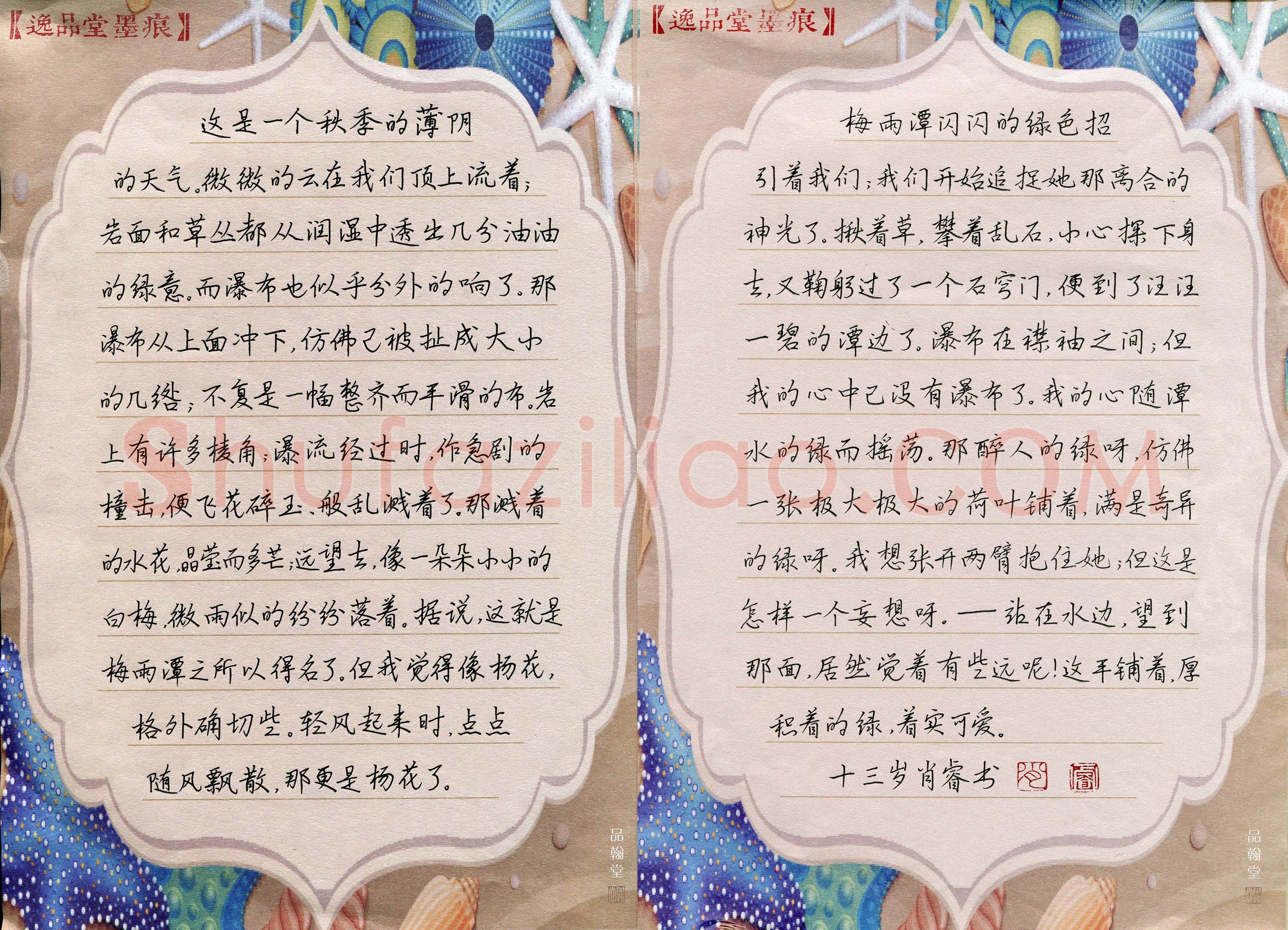 肖睿(少儿组 13岁 金奖)硬笔书法大赛获奖作品,肖睿硬笔书法作品