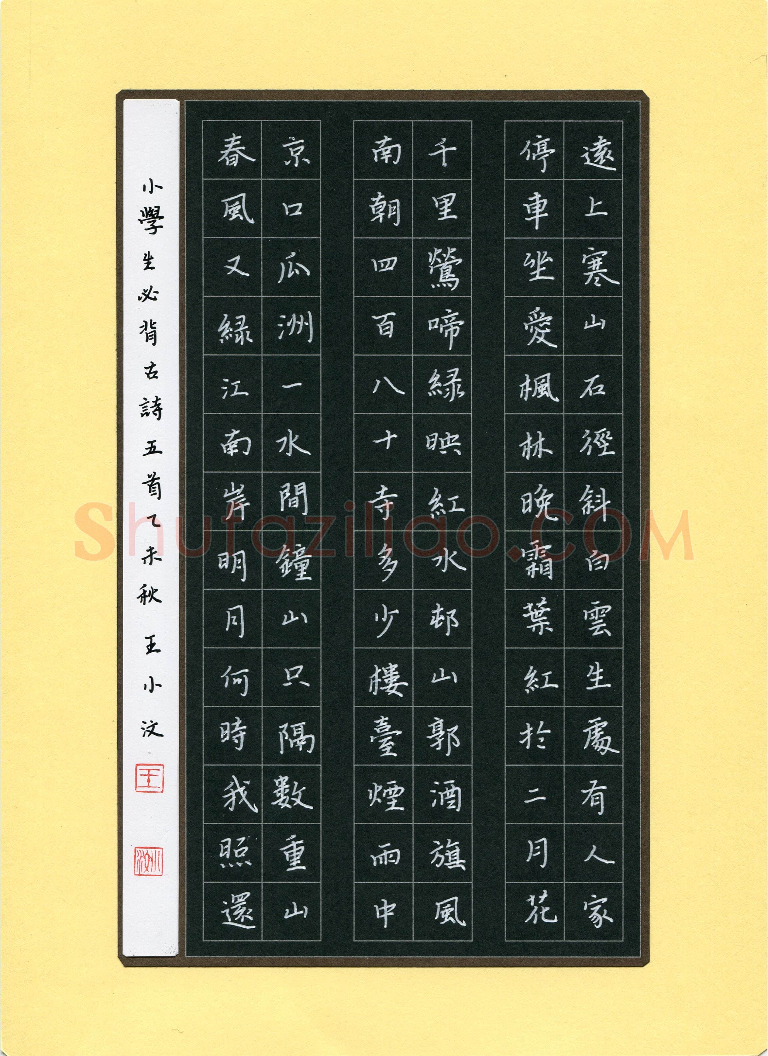 王小汶(少儿组 14岁)硬笔书法大赛入围作品选登,王小汶硬笔书法作品