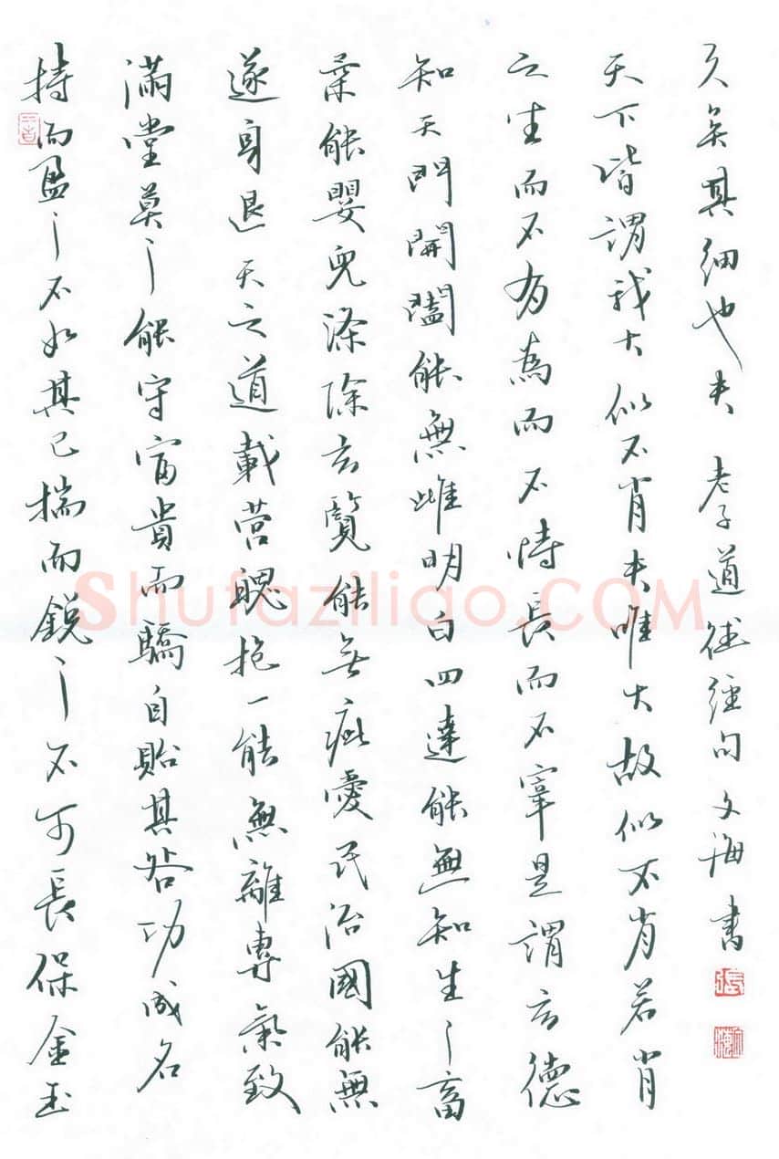 张文海[行书老子道德经句],硬笔书法作品