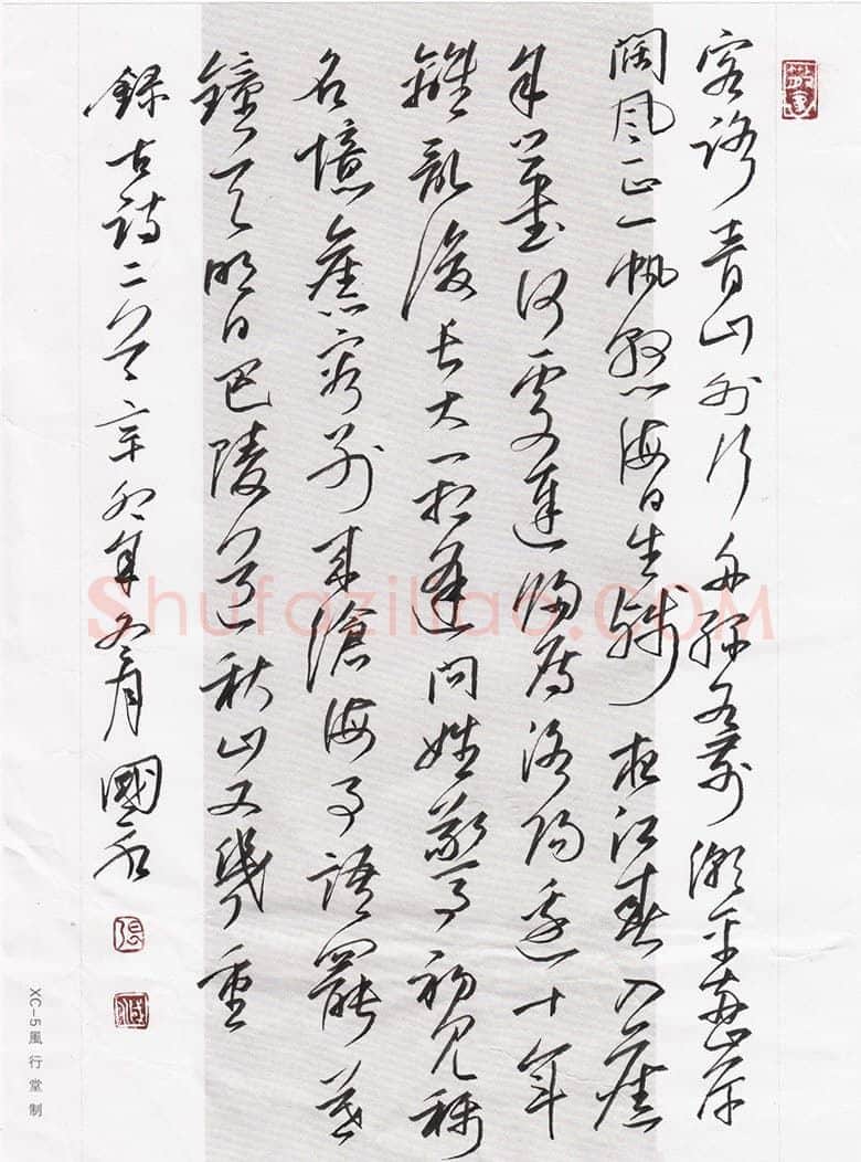 张国永硬笔行草古诗二首,张国永硬笔书法作品