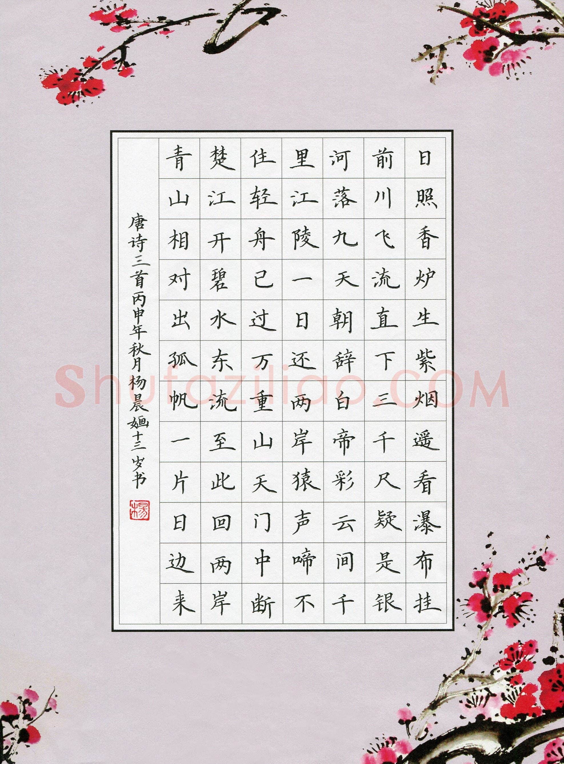 杨晨婳(少儿组 13岁)硬笔书法大赛入围作品选登,杨晨婳硬笔书法作品