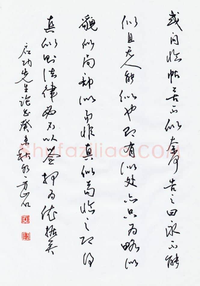 蒋亚军硬笔行草启功论书,蒋亚军硬笔书法作品
