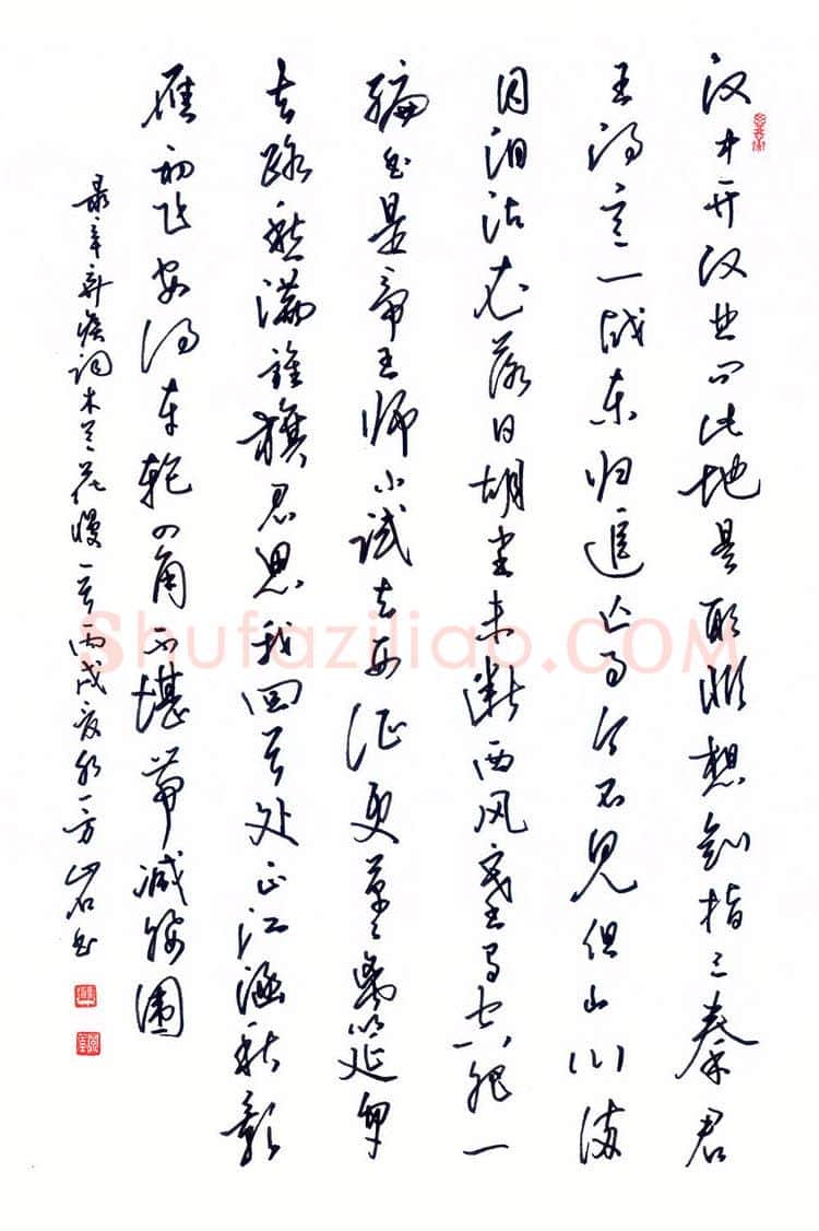 蒋亚军硬笔行草辛弃疾词木兰花慢,蒋亚军硬笔书法作品