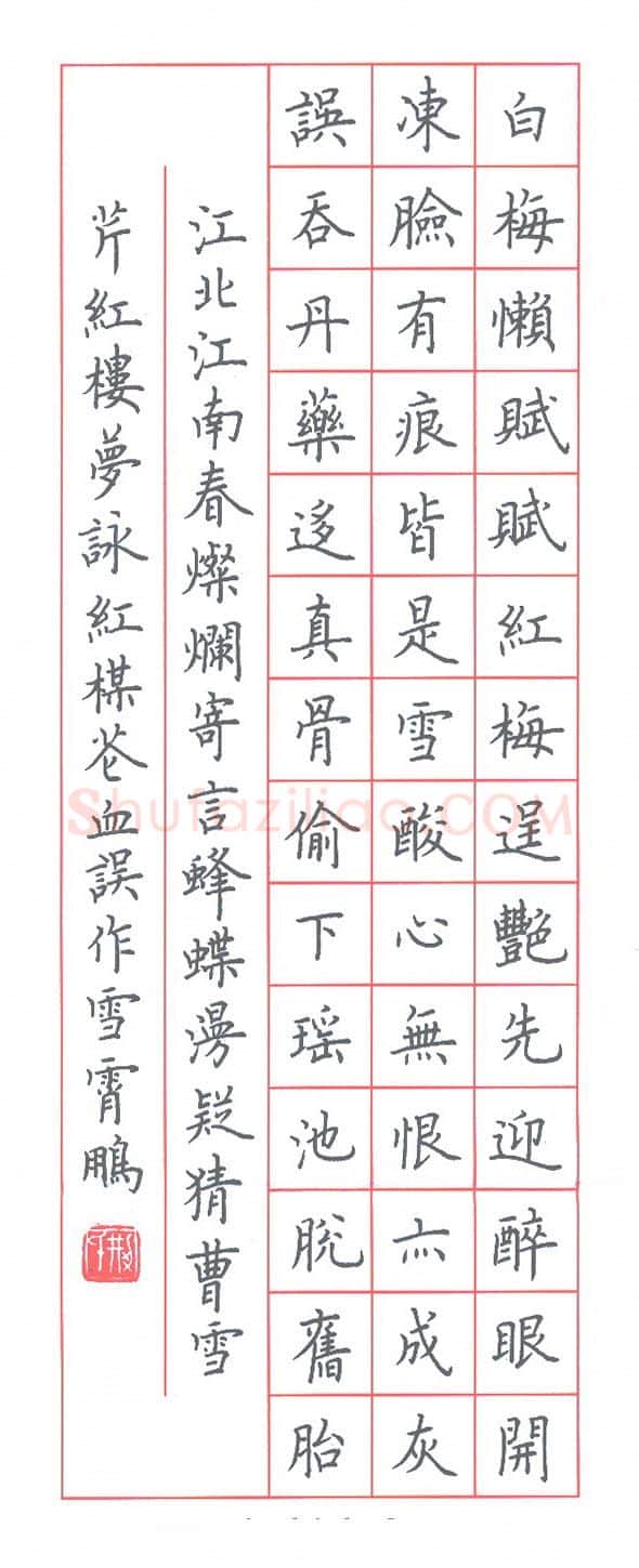 荆霄鹏硬笔楷书红楼梦诗咏红梅花,荆霄鹏硬笔书法作品
