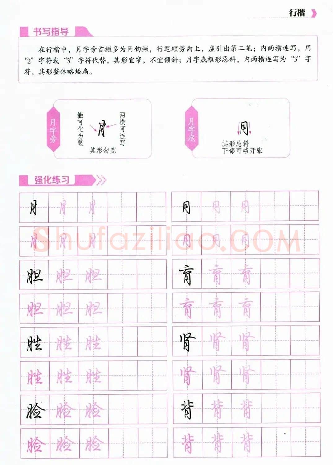 荆霄鹏硬笔行楷字帖《新手入门常见的20个问题》 | 硬笔书法字帖