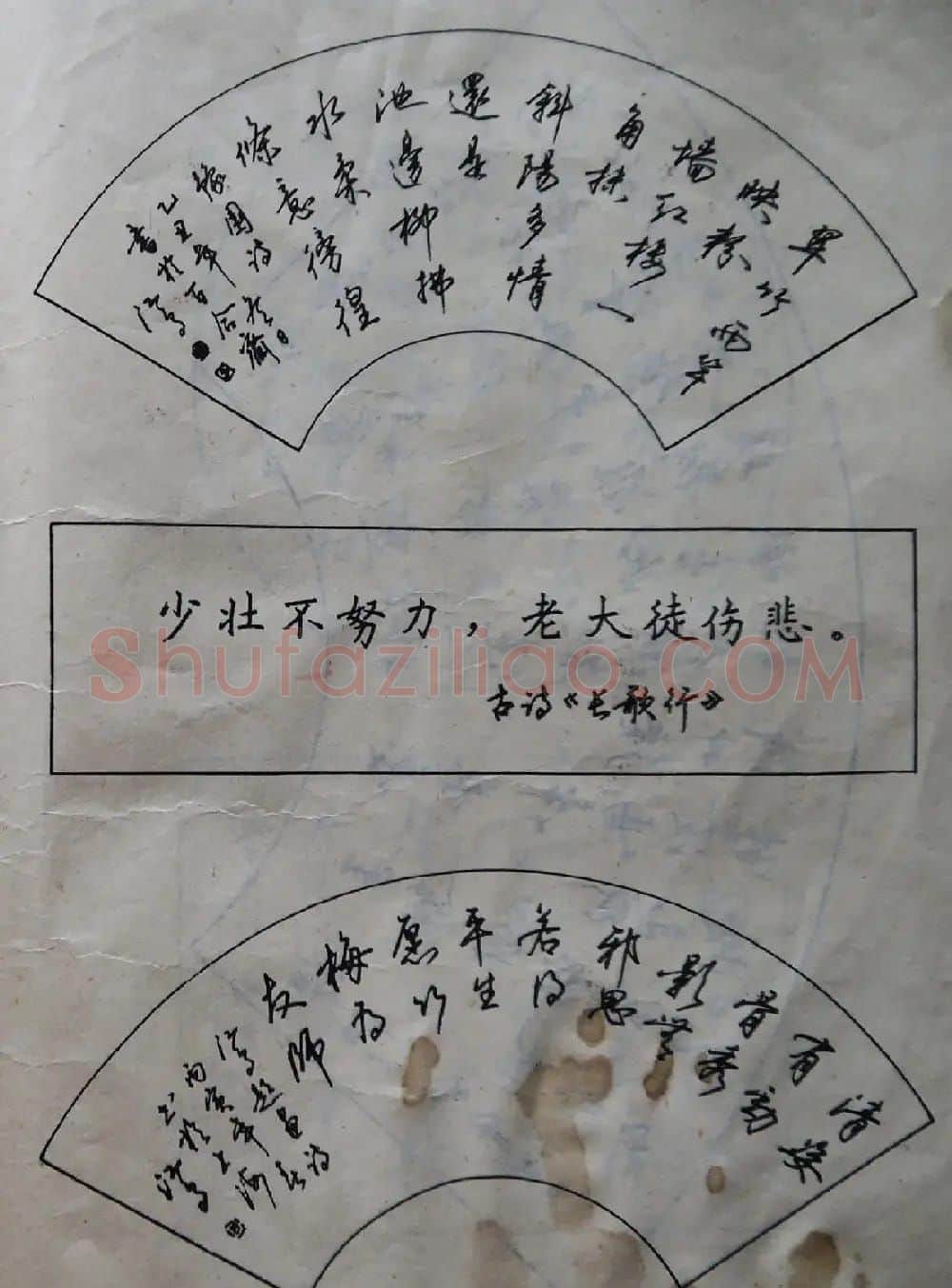沈鸿根楷书行书草书三体钢笔习字帖 | 钢笔书法字帖