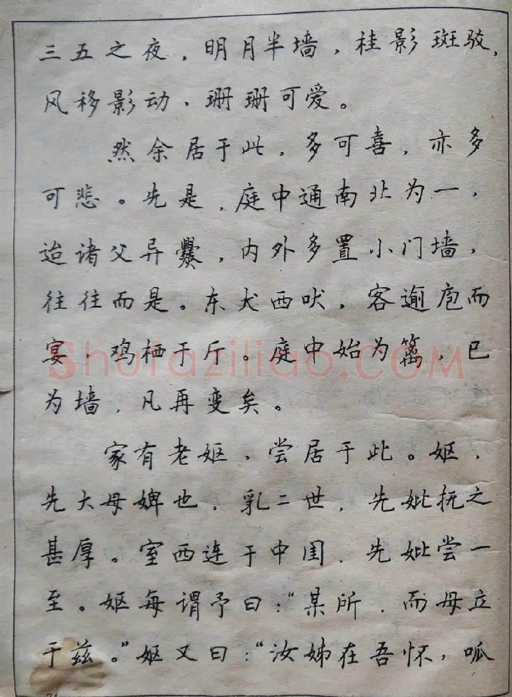 沈鸿根楷书行书草书三体钢笔习字帖 | 钢笔书法字帖