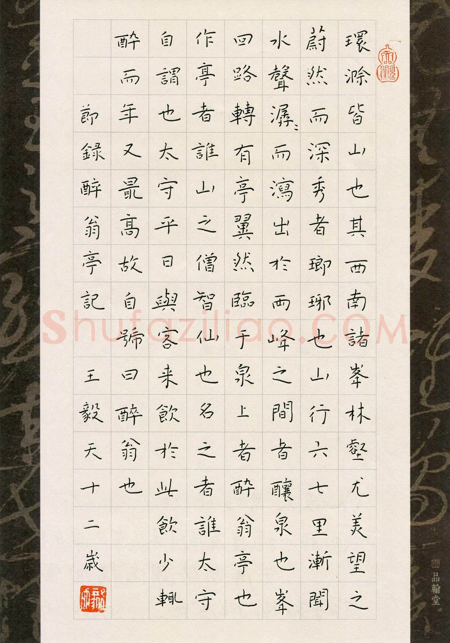 王毅夫(少儿组 12岁 铜奖)硬笔书法大赛获奖作品,王毅夫硬笔书法作品