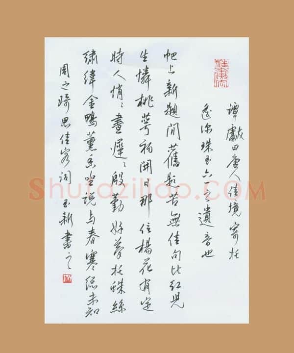 齐玉新硬笔行草周之琦思佳客词,齐玉新硬笔书法作品