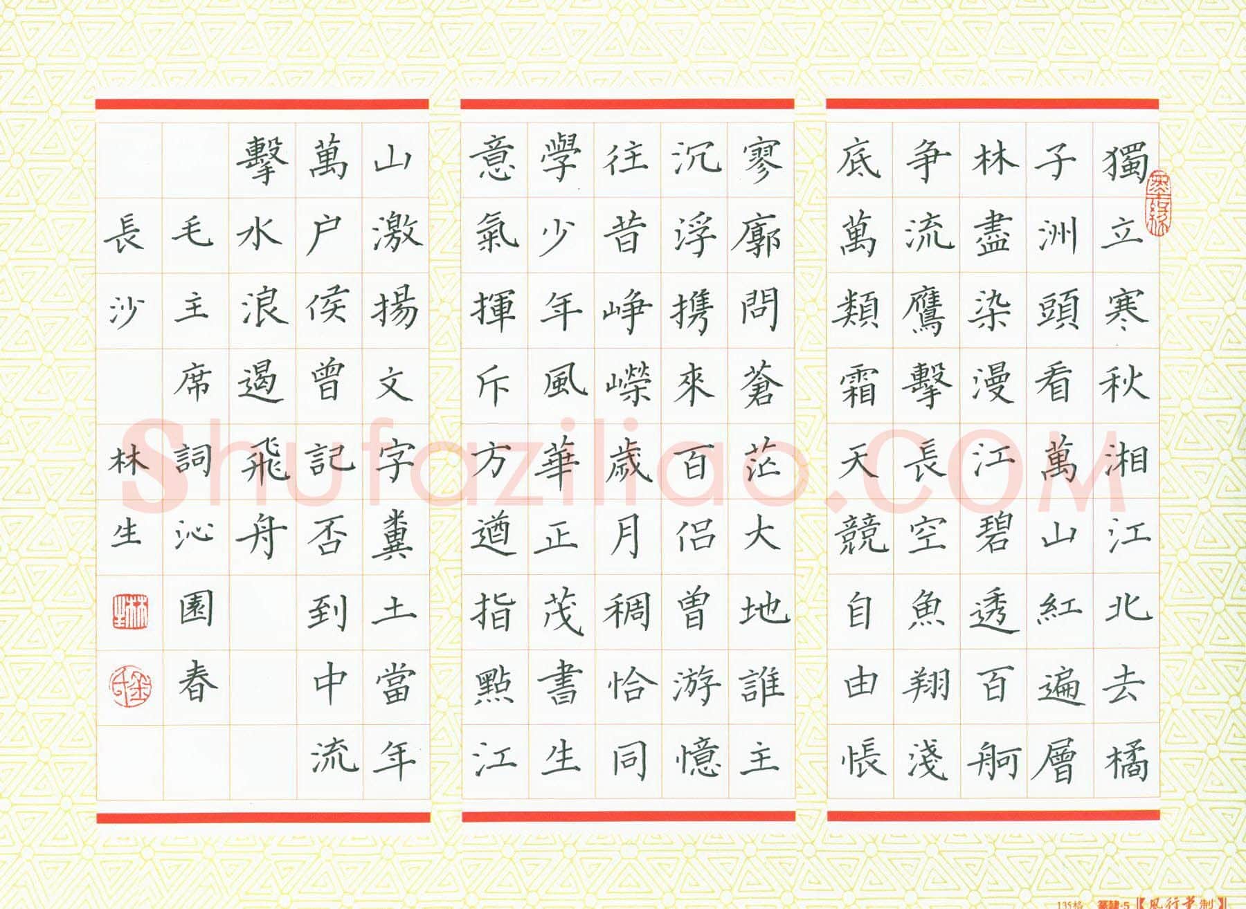 金林生硬笔楷书毛主席词沁园春长沙,金林生硬笔书法作品