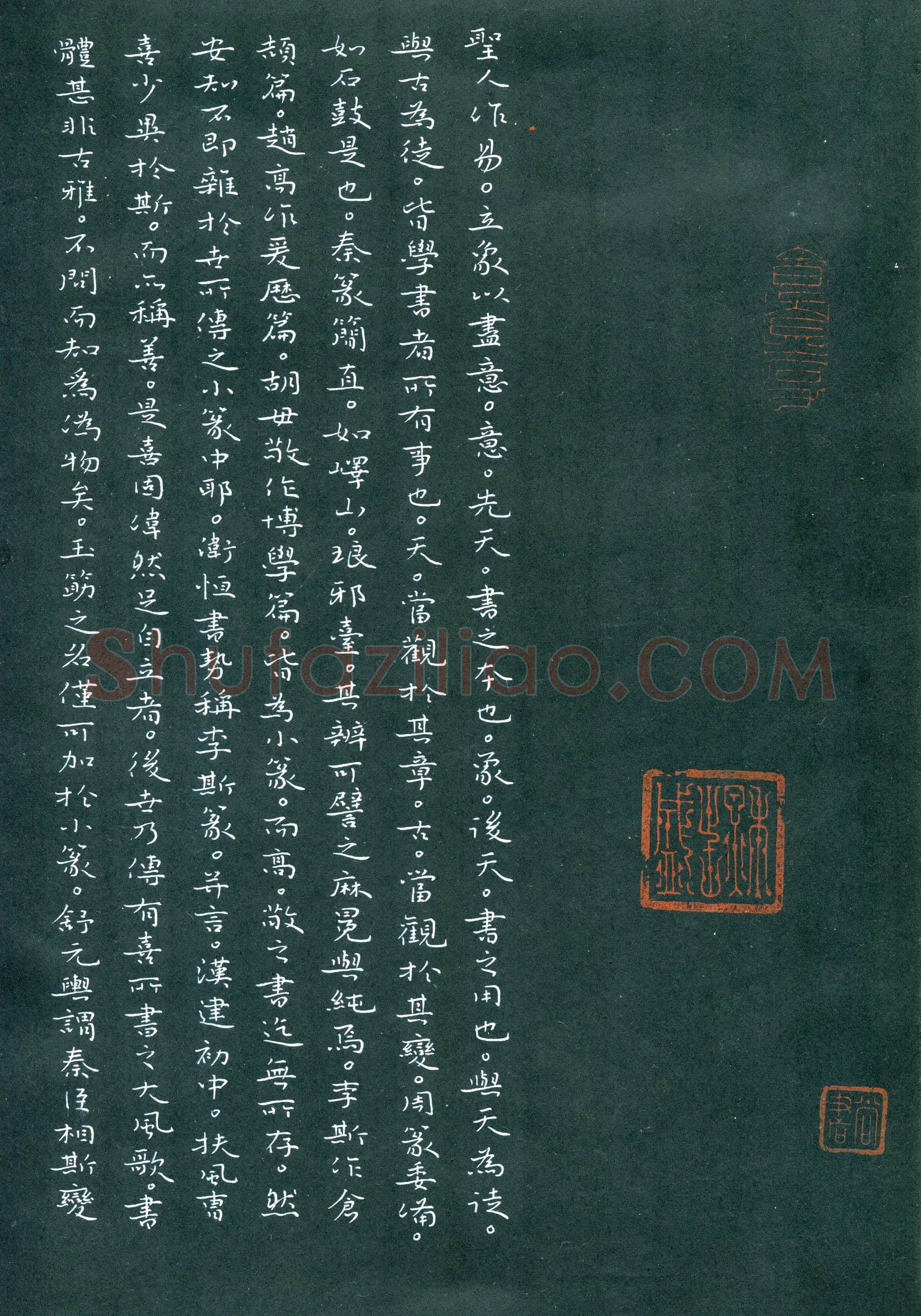赵臻友硬笔楷书汉书节录,赵臻友硬笔书法作品