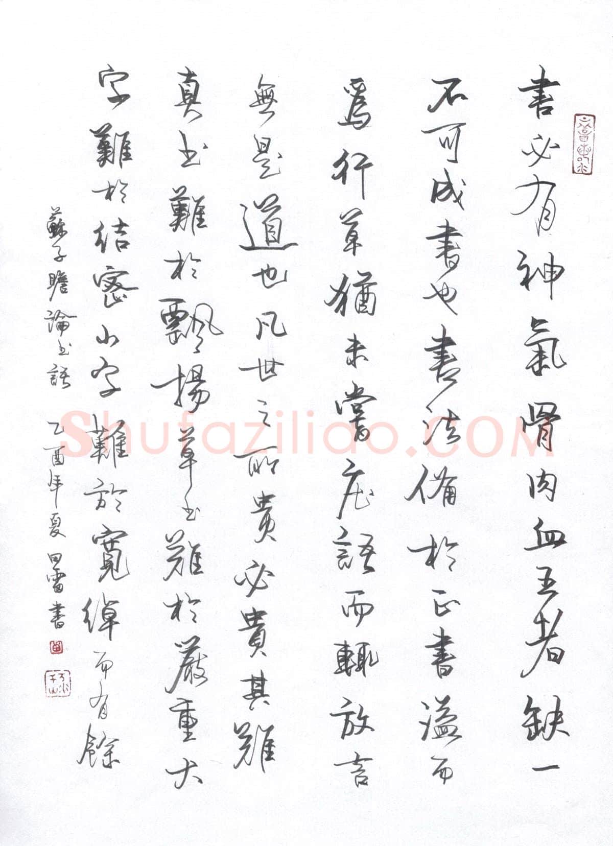 田雷硬笔行书苏子瞻论书语,田雷硬笔书法作品