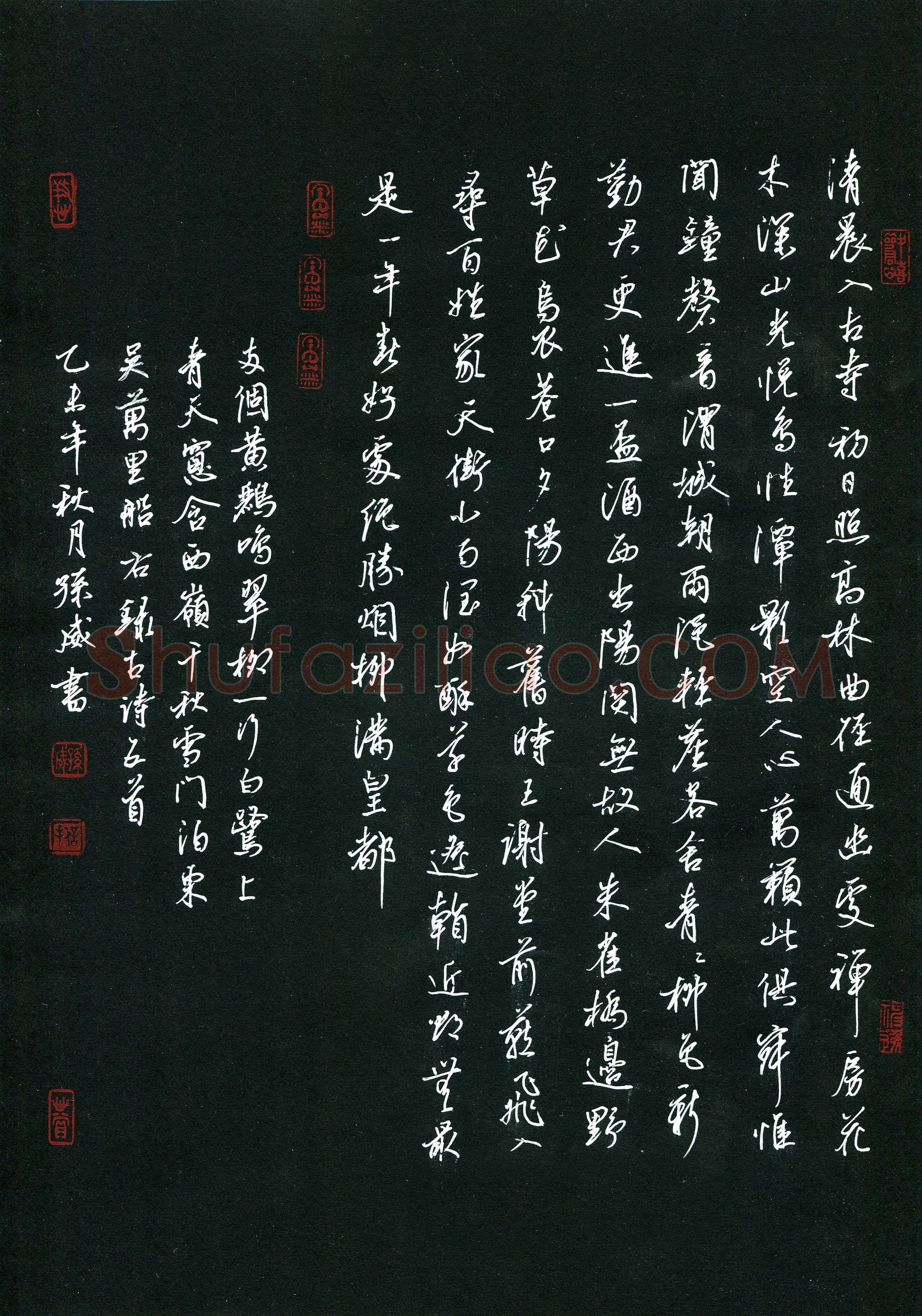 孙威(成人组 铜奖)硬笔书法大赛获奖作品,孙威硬笔书法作品
