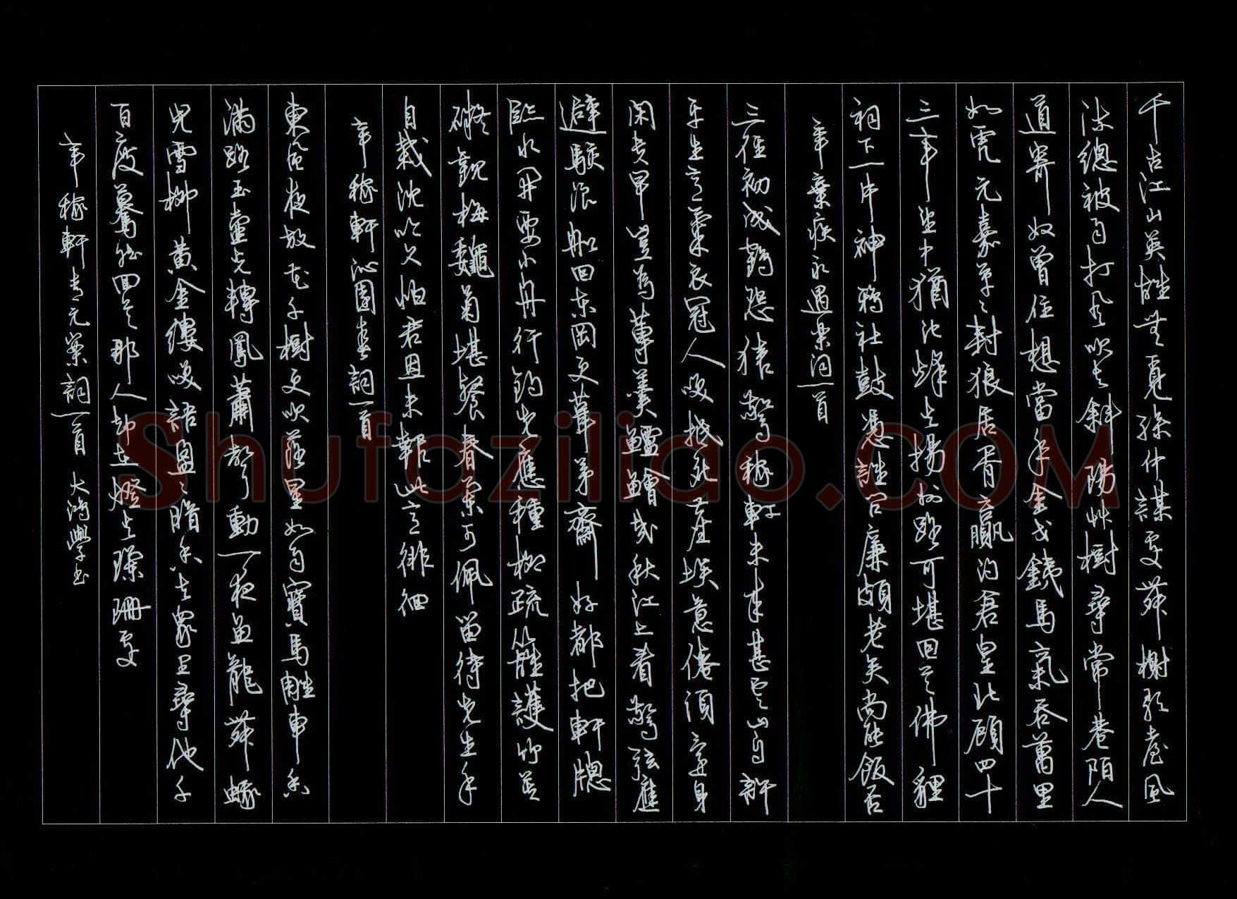洪邦桥硬笔行书辛弃疾词,硬笔书法作品