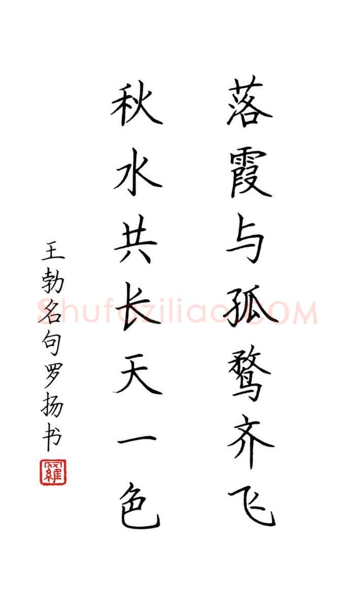 罗扬硬笔楷书王勃名句,罗扬硬笔书法作品
