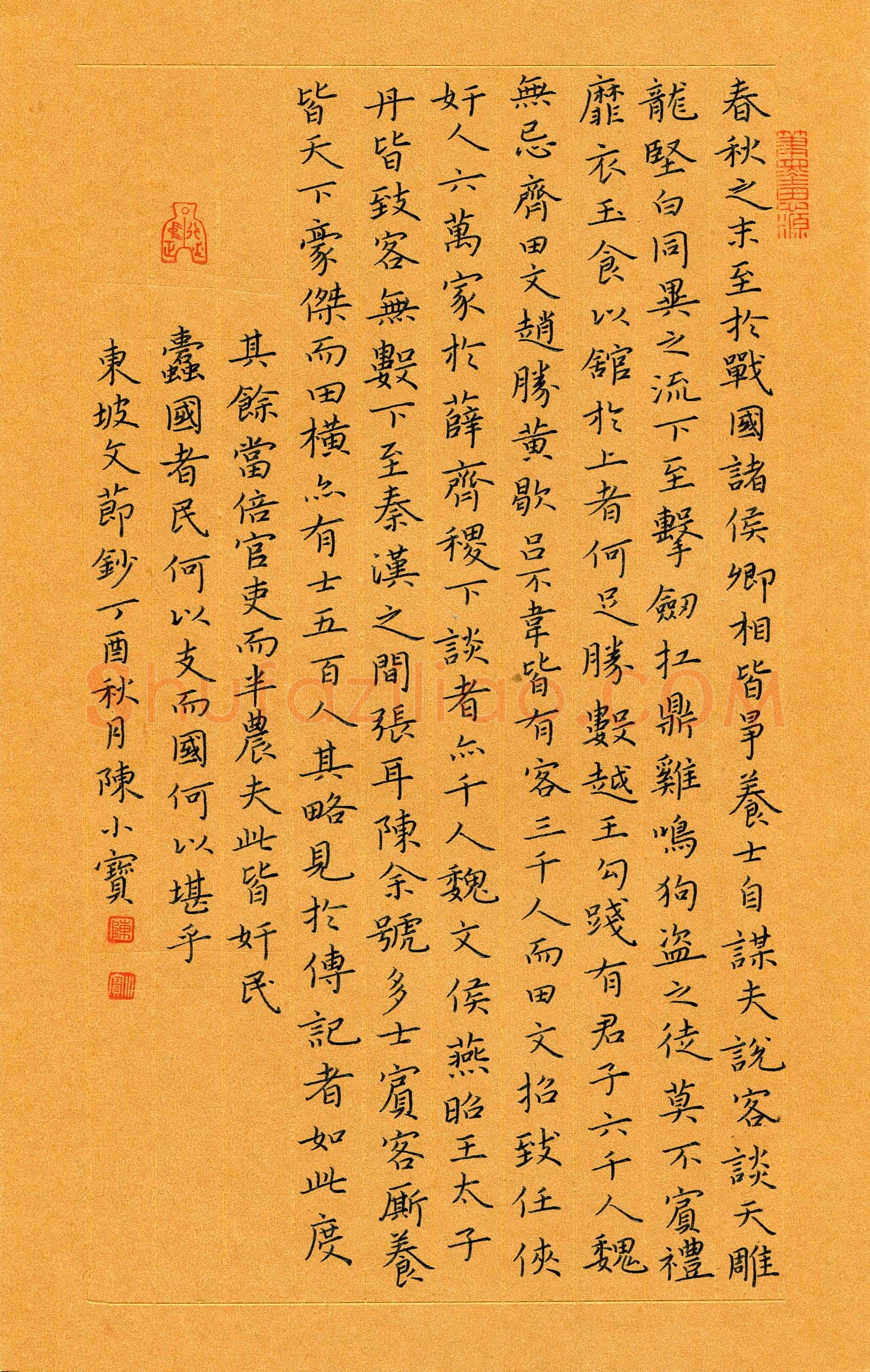 陈小宝硬笔楷书东坡文节抄,陈小宝硬笔书法作品