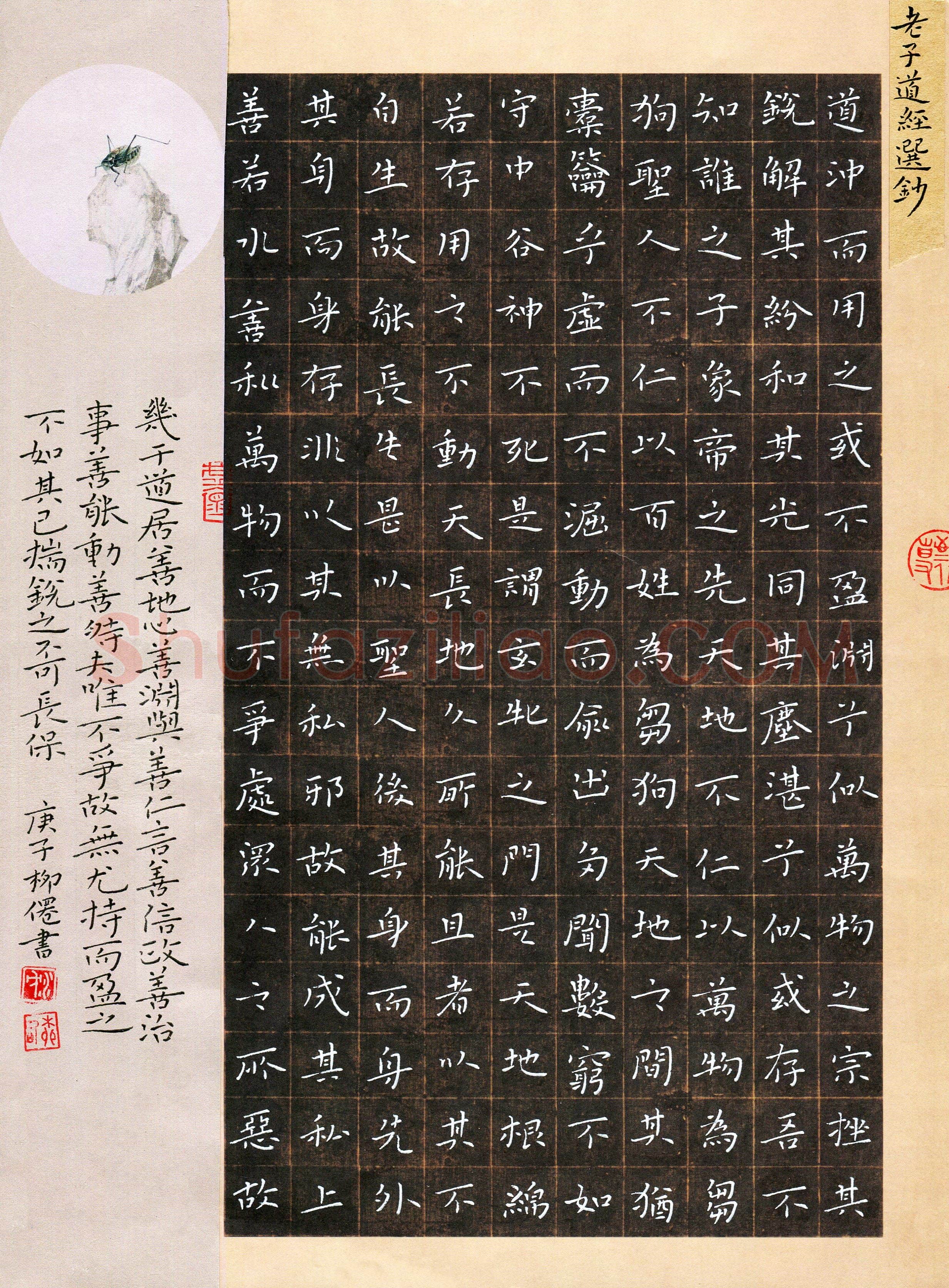 沈柳仙(成人组 楷书 优秀奖)硬笔书法大赛获奖作品,沈柳仙硬笔书法作品
