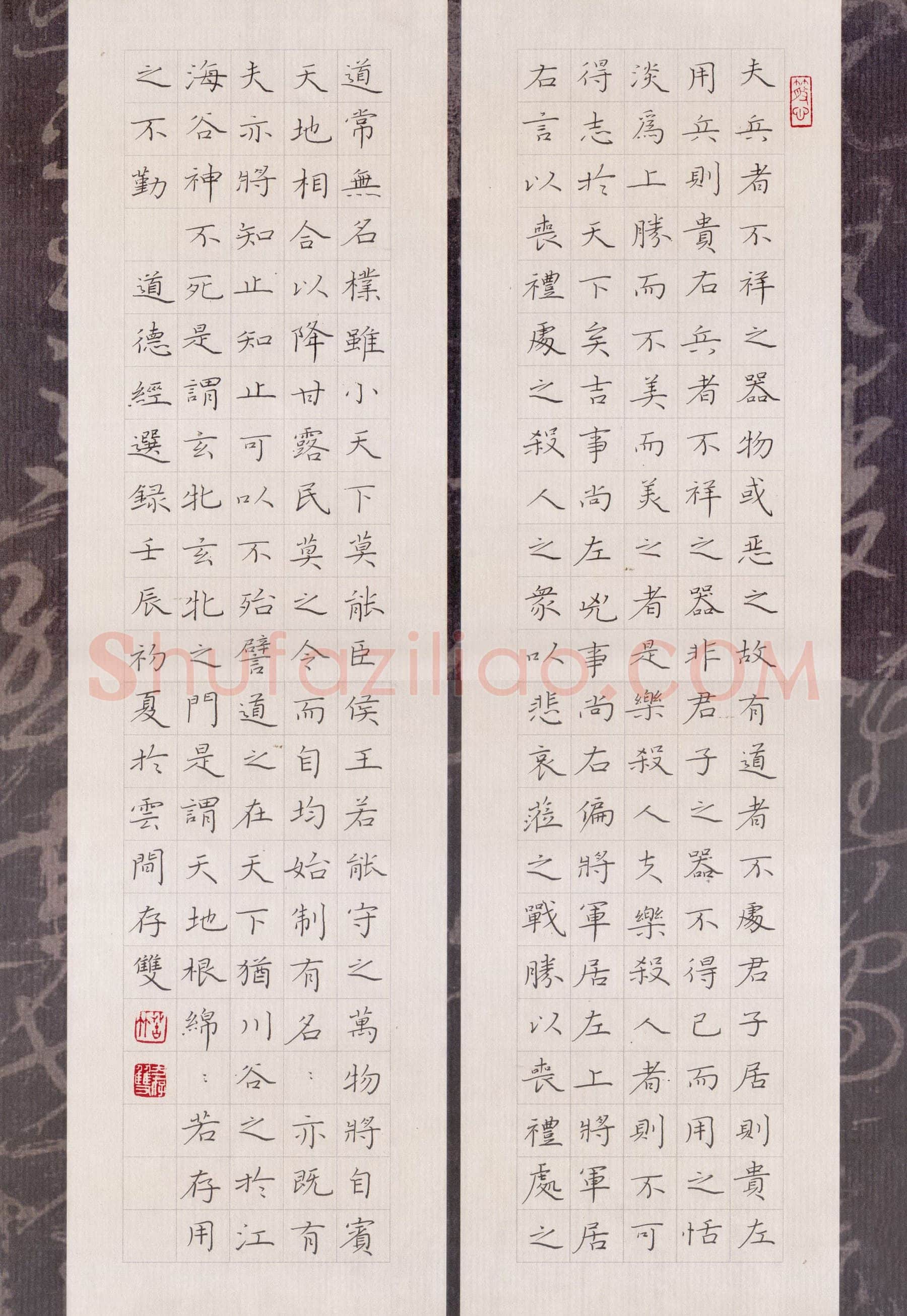 方存双硬笔楷书道德经选录,方存双硬笔书法作品