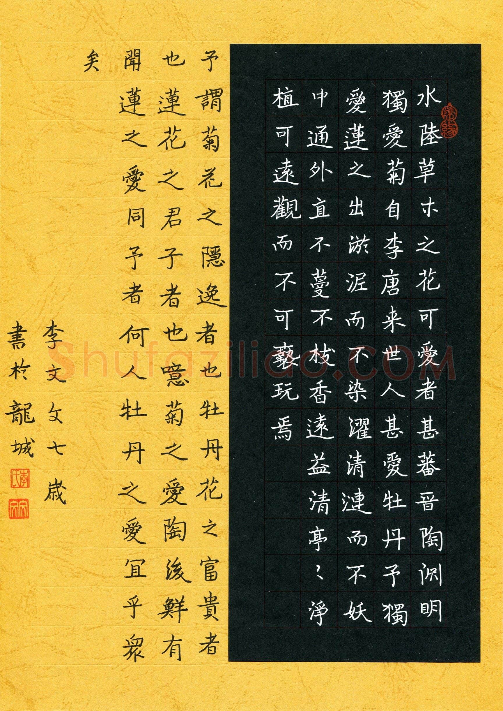 李文文(少儿组 7岁)硬笔书法大赛入围作品选登,李文文硬笔书法作品