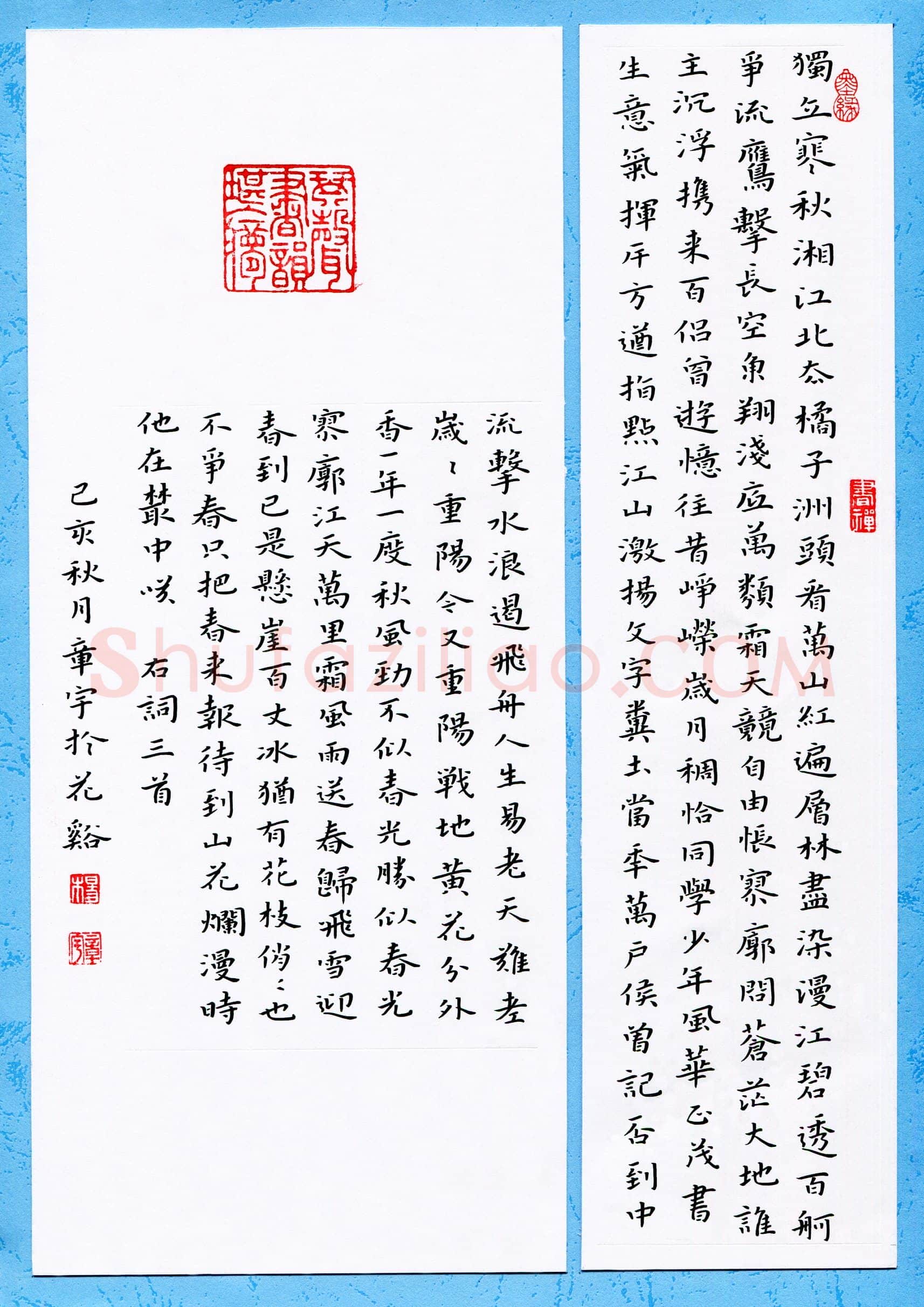 杨章宇(成人组)硬笔书法大赛入围作品选登,杨章宇硬笔书法作品