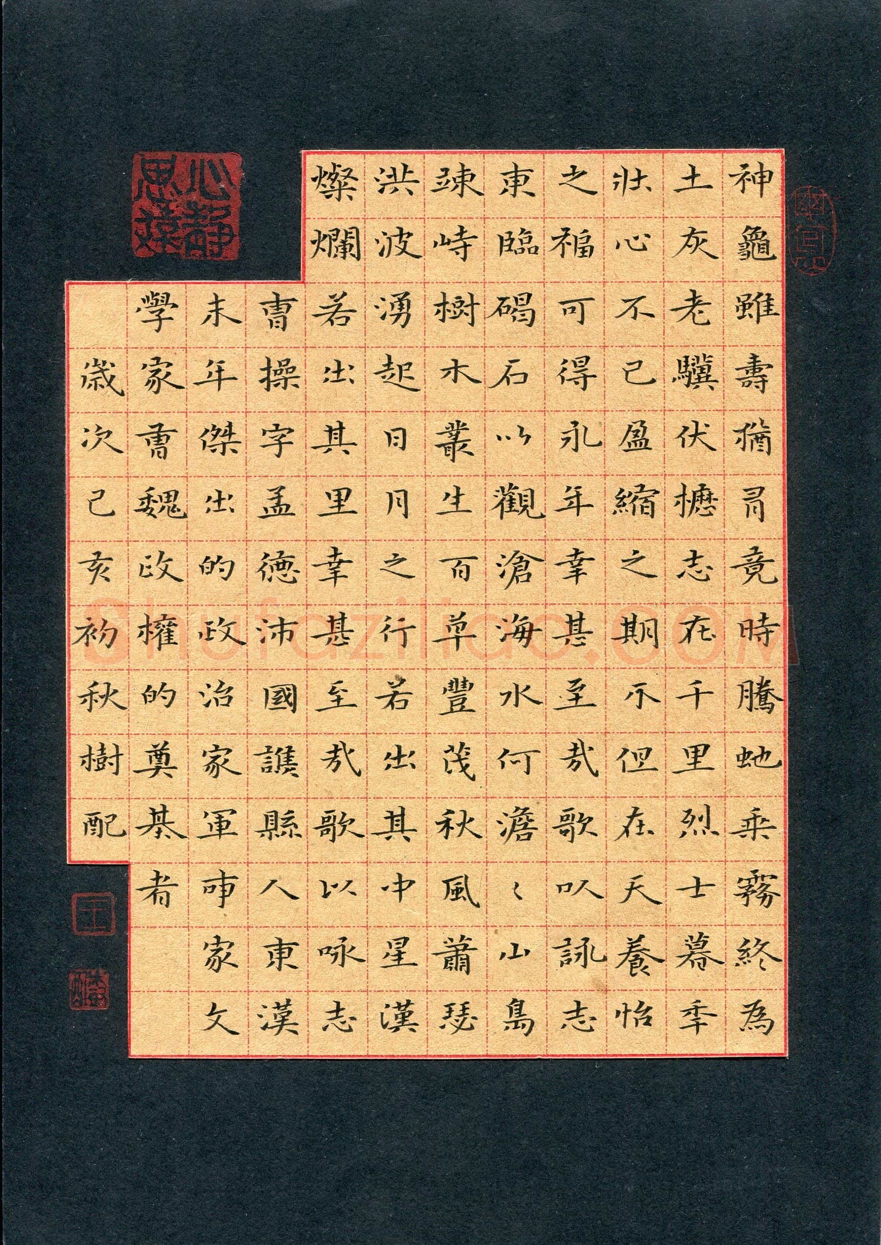 王树配(成人组)硬笔书法大赛入围作品选登,王树配硬笔书法作品