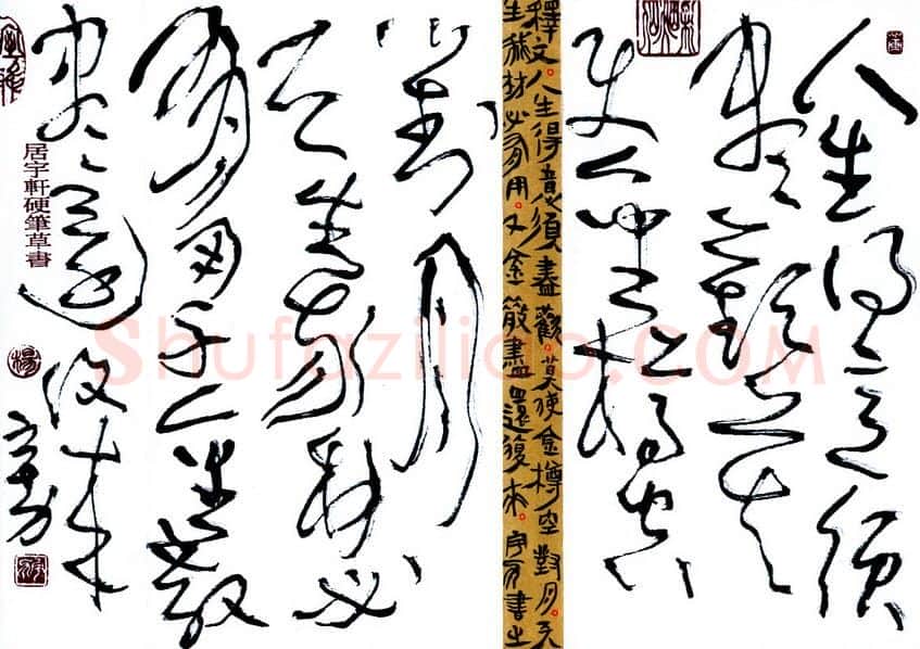 杨宇力硬笔草书李白将进酒诗句,杨宇力硬笔书法作品
