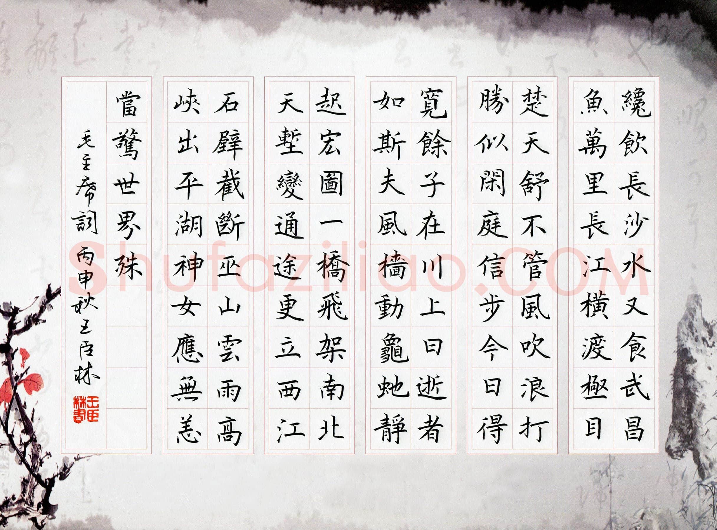 王臣林硬笔楷书毛泽东词,王臣林硬笔书法作品