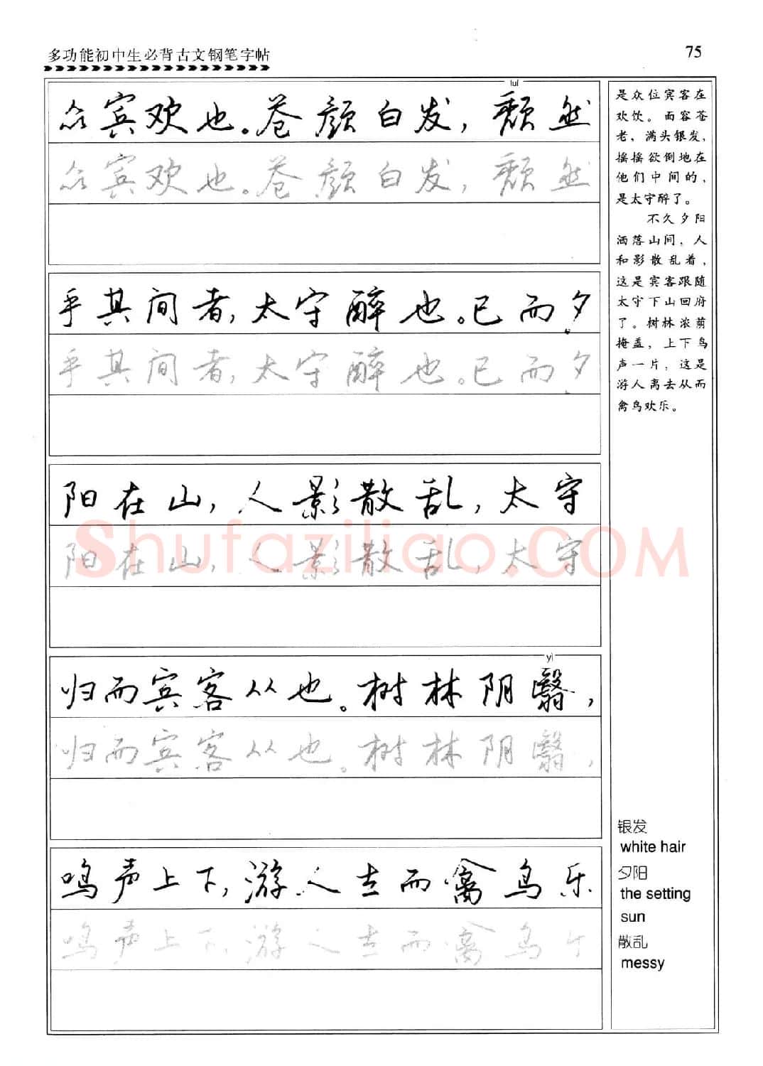 任平钢笔行书字帖《初中生必背古文》 | 硬笔书法字帖