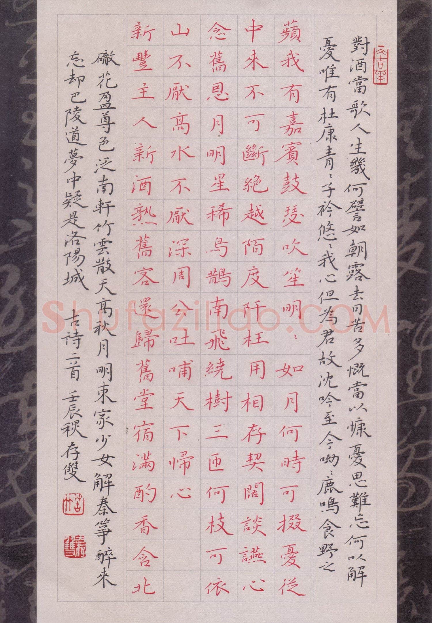 方存双硬笔楷书古诗二首,方存双硬笔书法作品