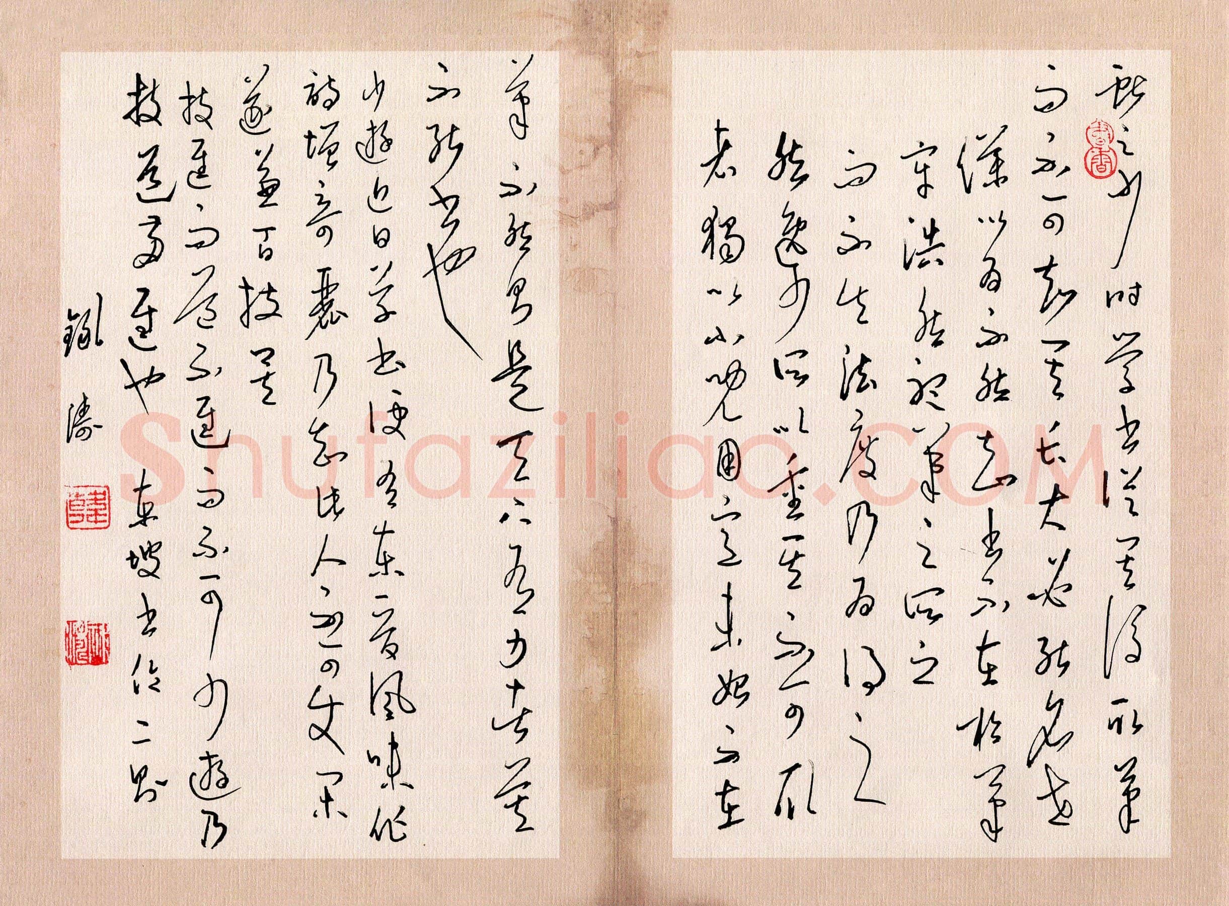 韩录涛硬笔草书东坡书论二则,韩录涛硬笔书法作品