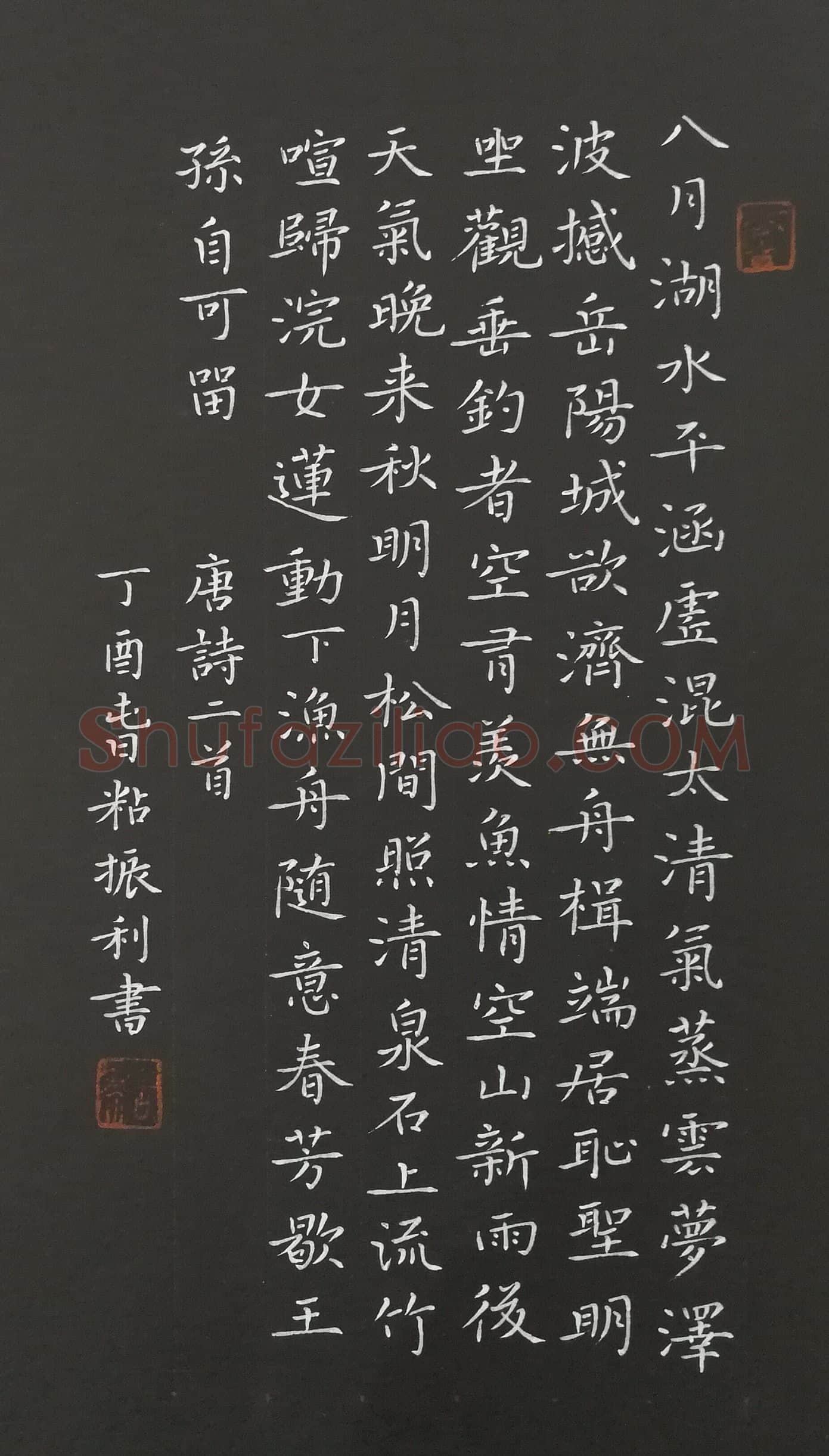粘振利硬笔楷书唐诗二首,粘振利硬笔书法作品