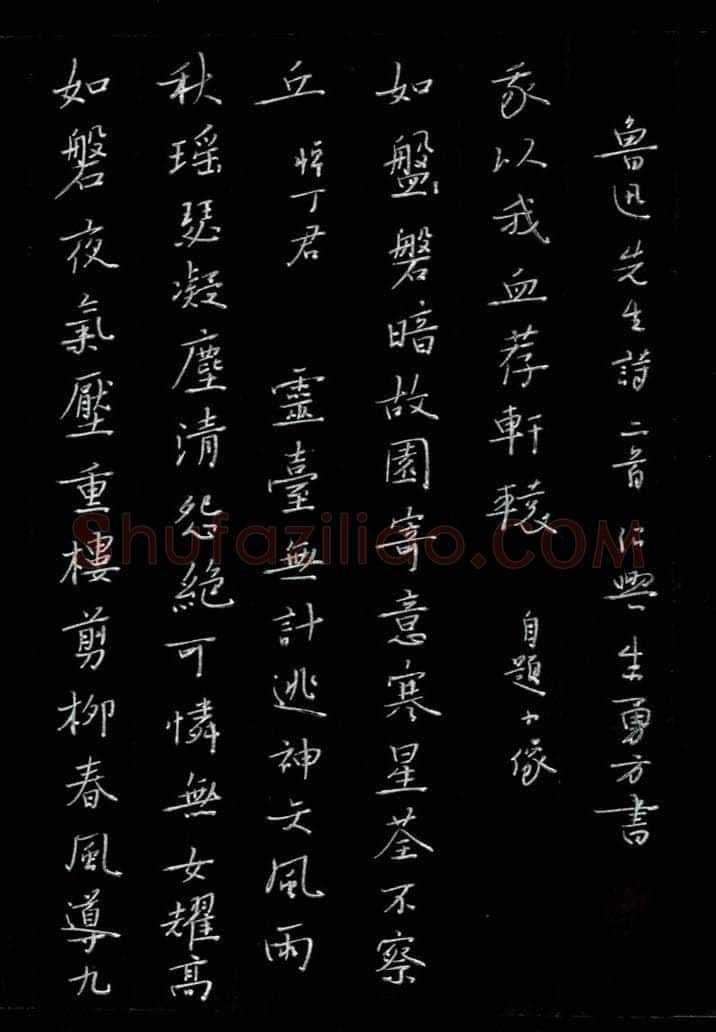 朱勇方硬笔楷书鲁迅诗二首,硬笔书法作品