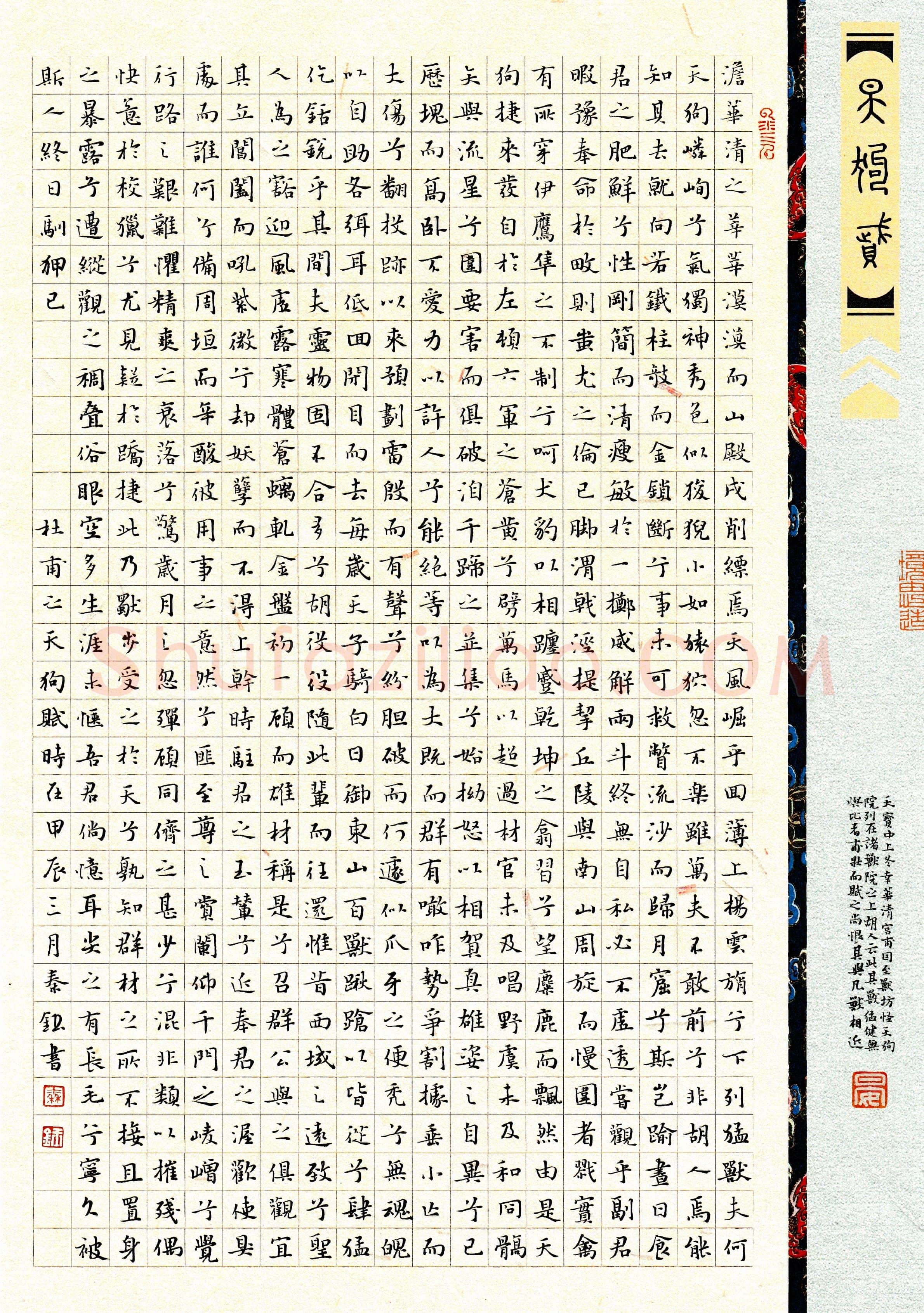 秦钰硬笔楷书杜甫天狗赋,秦钰硬笔书法作品