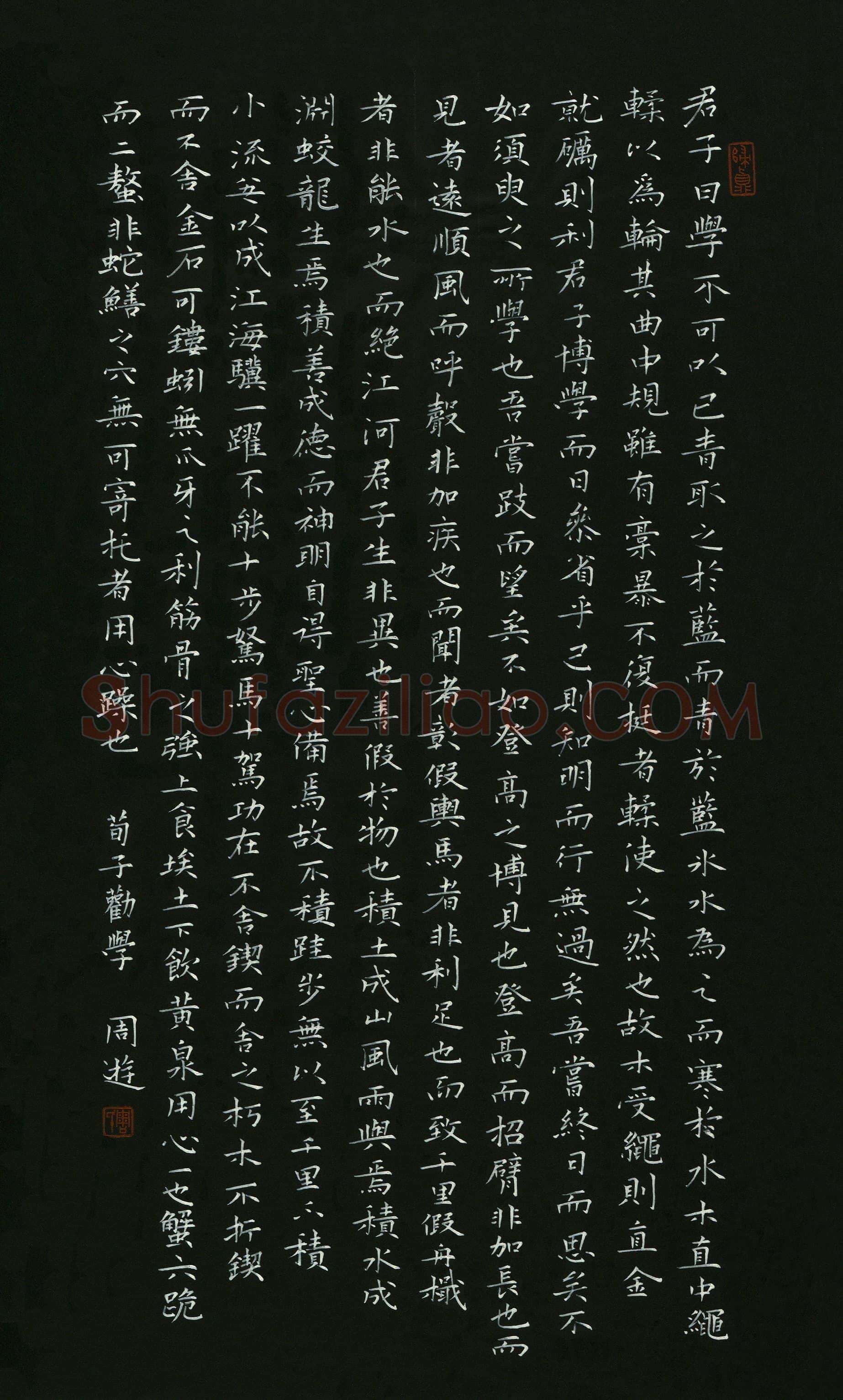 周游(成人组)硬笔书法大赛入围作品选登,周游硬笔书法作品