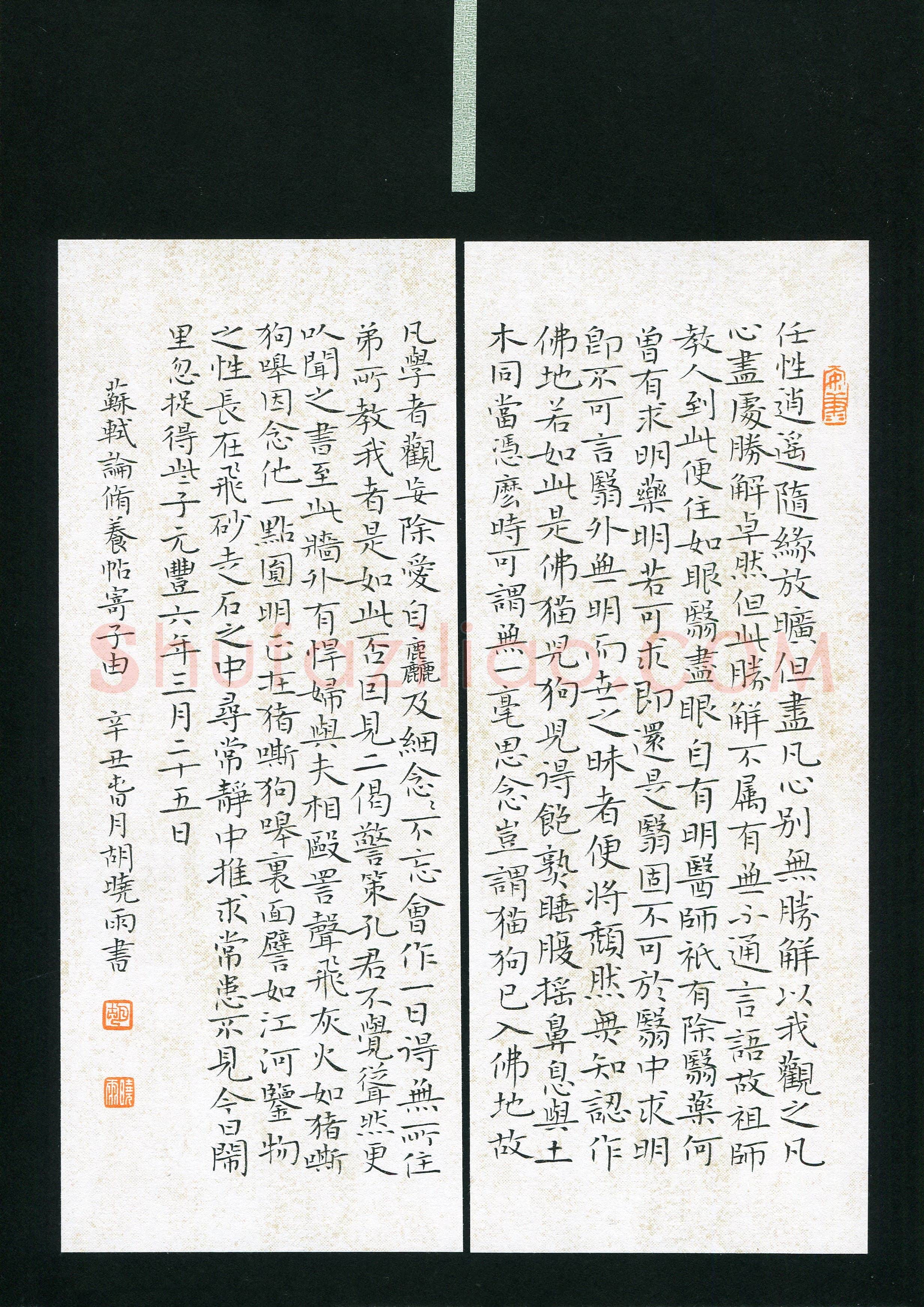 胡晓雨(成人组 楷书 精品奖)硬笔书法大赛获奖作品,胡晓雨硬笔书法作品