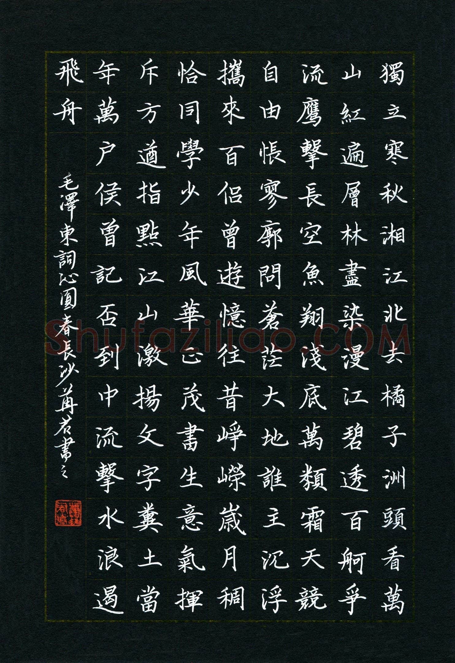 华苒君(少儿组 15岁 优秀奖)硬笔书法大赛获奖作品,华苒君硬笔书法作品
