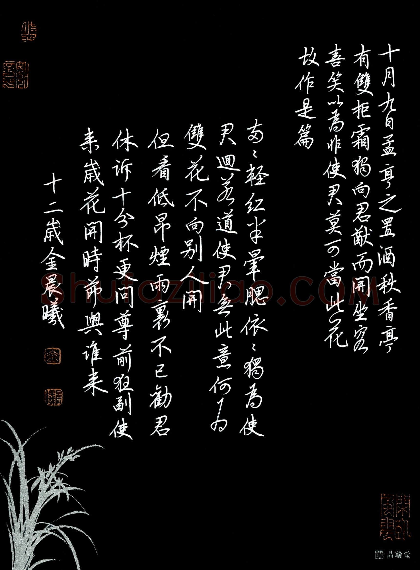 金晨曦(少儿组 12岁 特等奖)硬笔书法大赛获奖作品,金晨曦硬笔书法作品