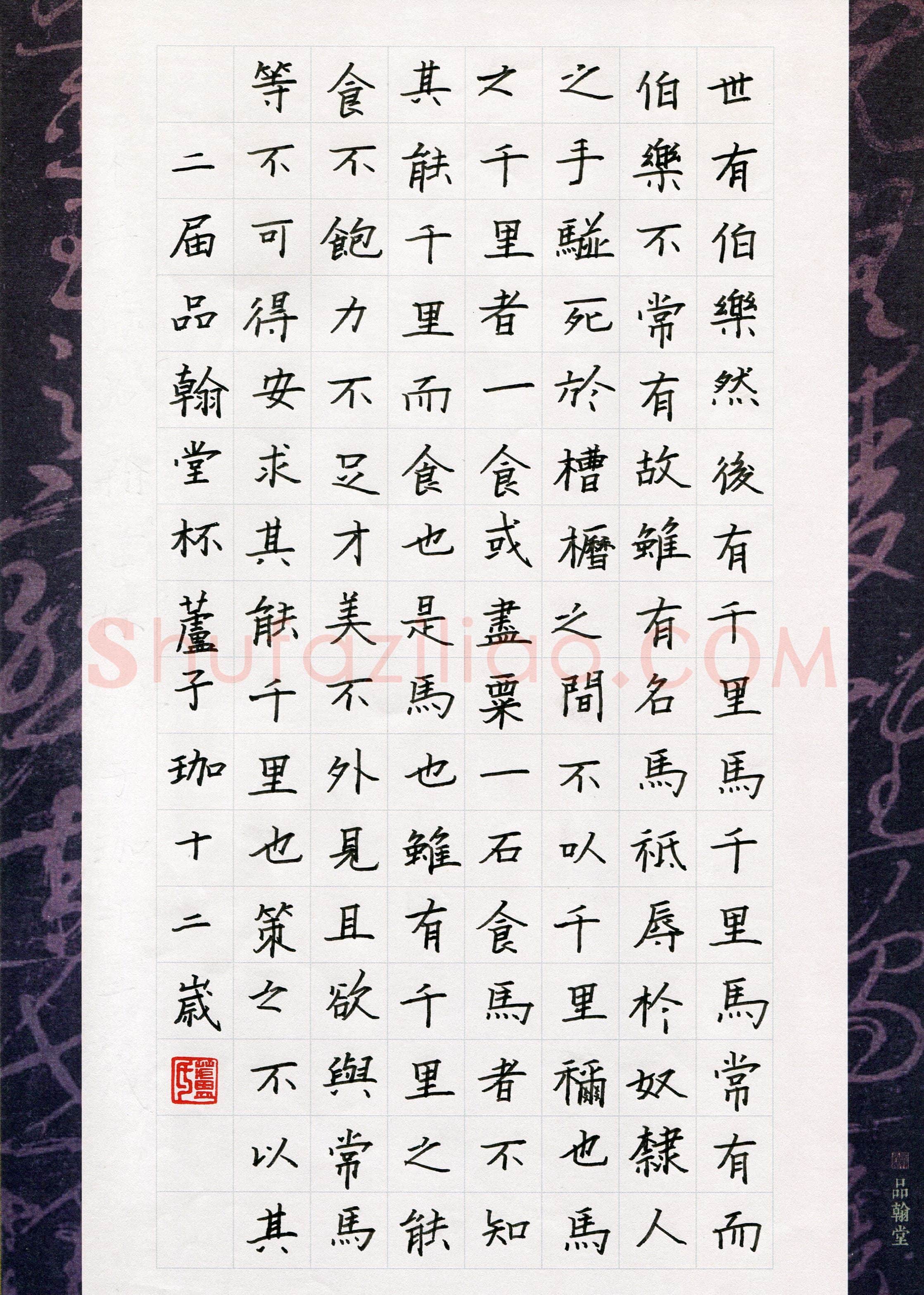 芦子珈(少儿组 12岁)硬笔书法大赛入围作品选登,芦子珈硬笔书法作品