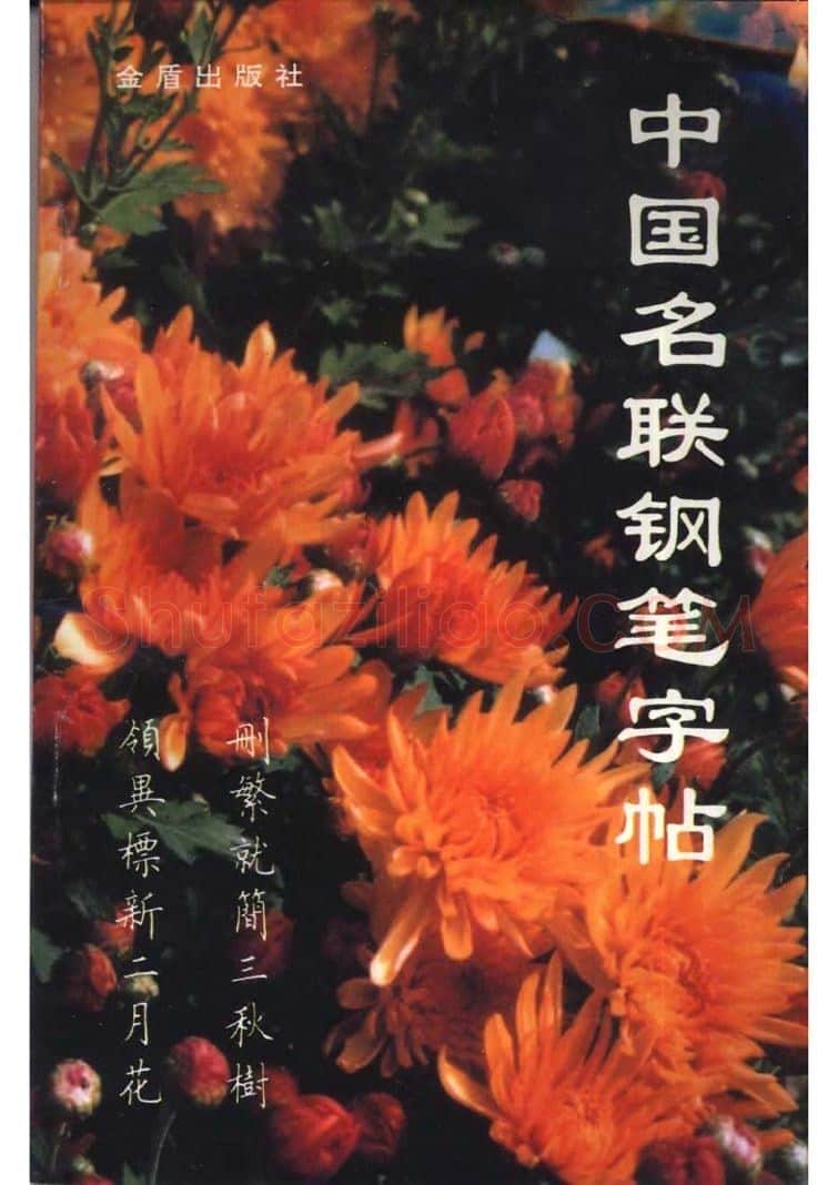 卢中南硬笔楷书字帖,摘自卢中南 中国名联钢笔字帖（金盾出版社）