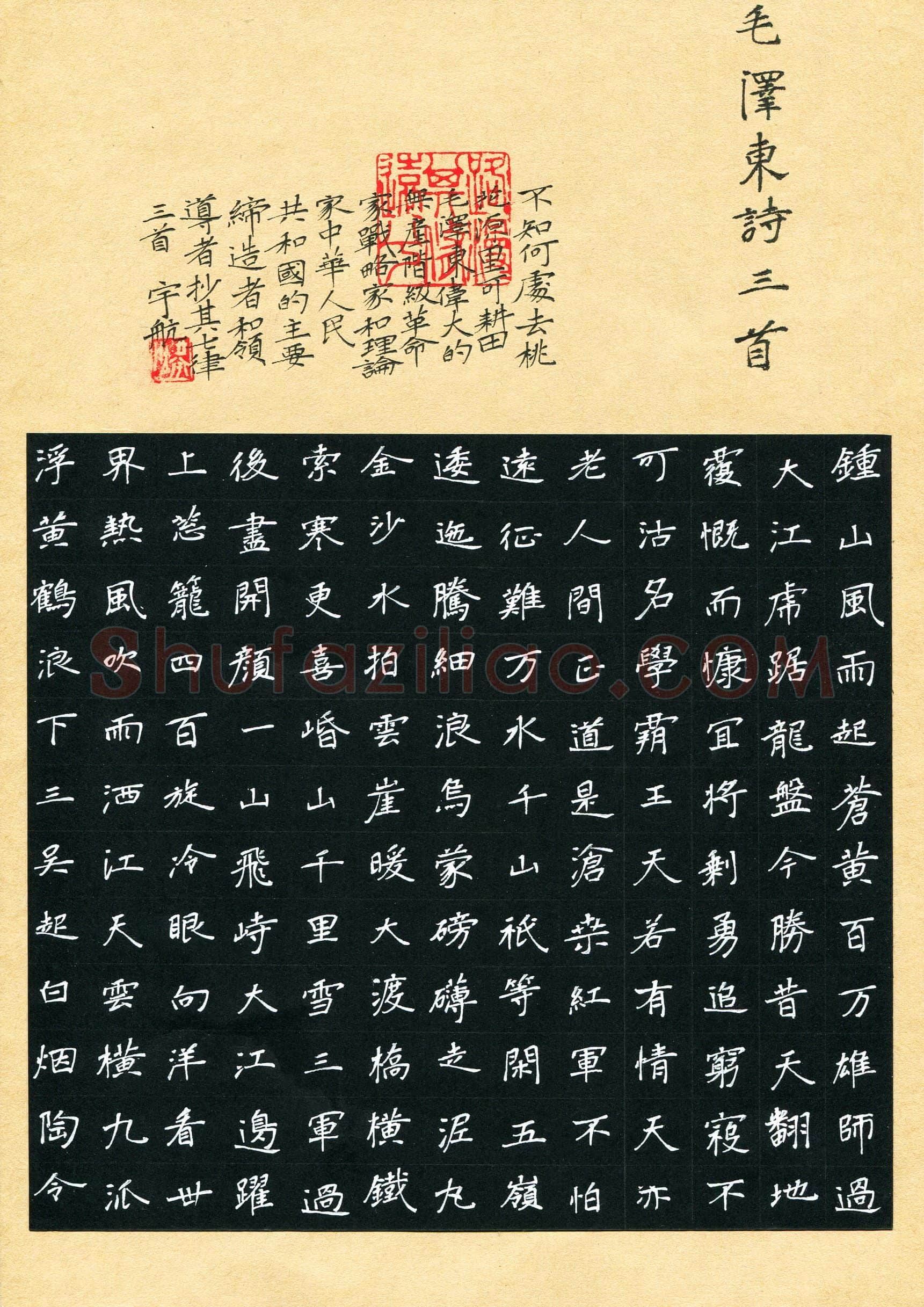 王宇航(成人组)硬笔书法大赛入围作品选登,王宇航硬笔书法作品