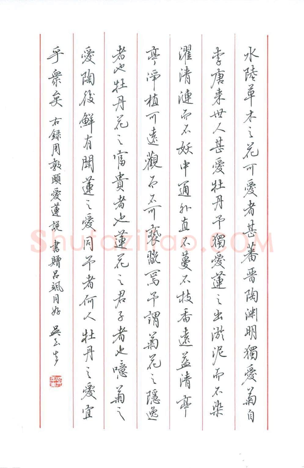 吴玉生硬笔行书周敦颐爱莲说,吴玉生硬笔书法作品