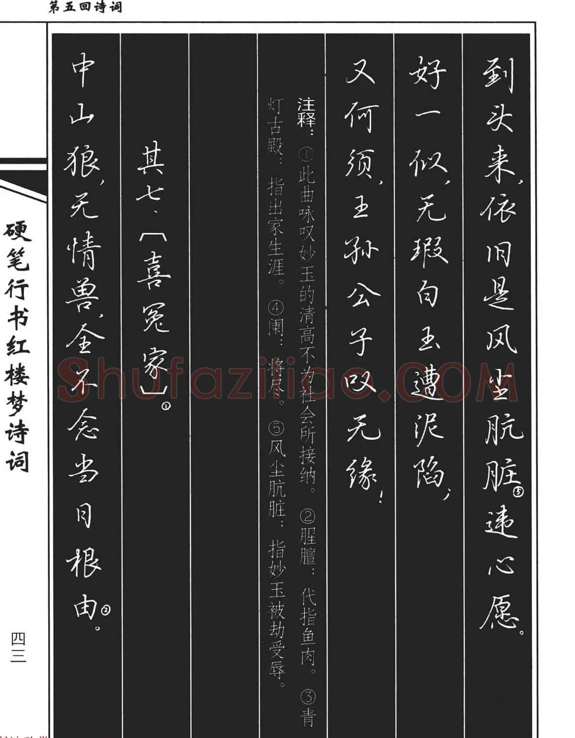 吴玉生钢笔字帖欣赏《硬笔行书红楼梦诗词》 | 硬笔书法字帖