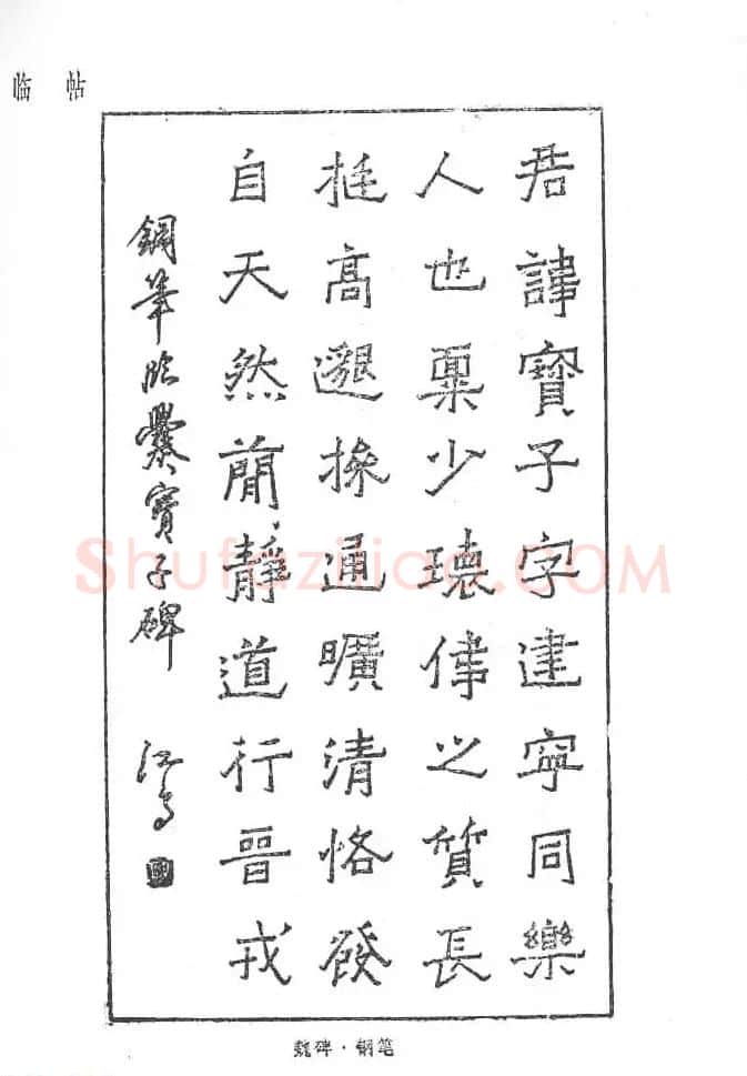 沈鸿根硬笔书法字帖《江鸟钢笔书法》 | 钢笔书法字帖