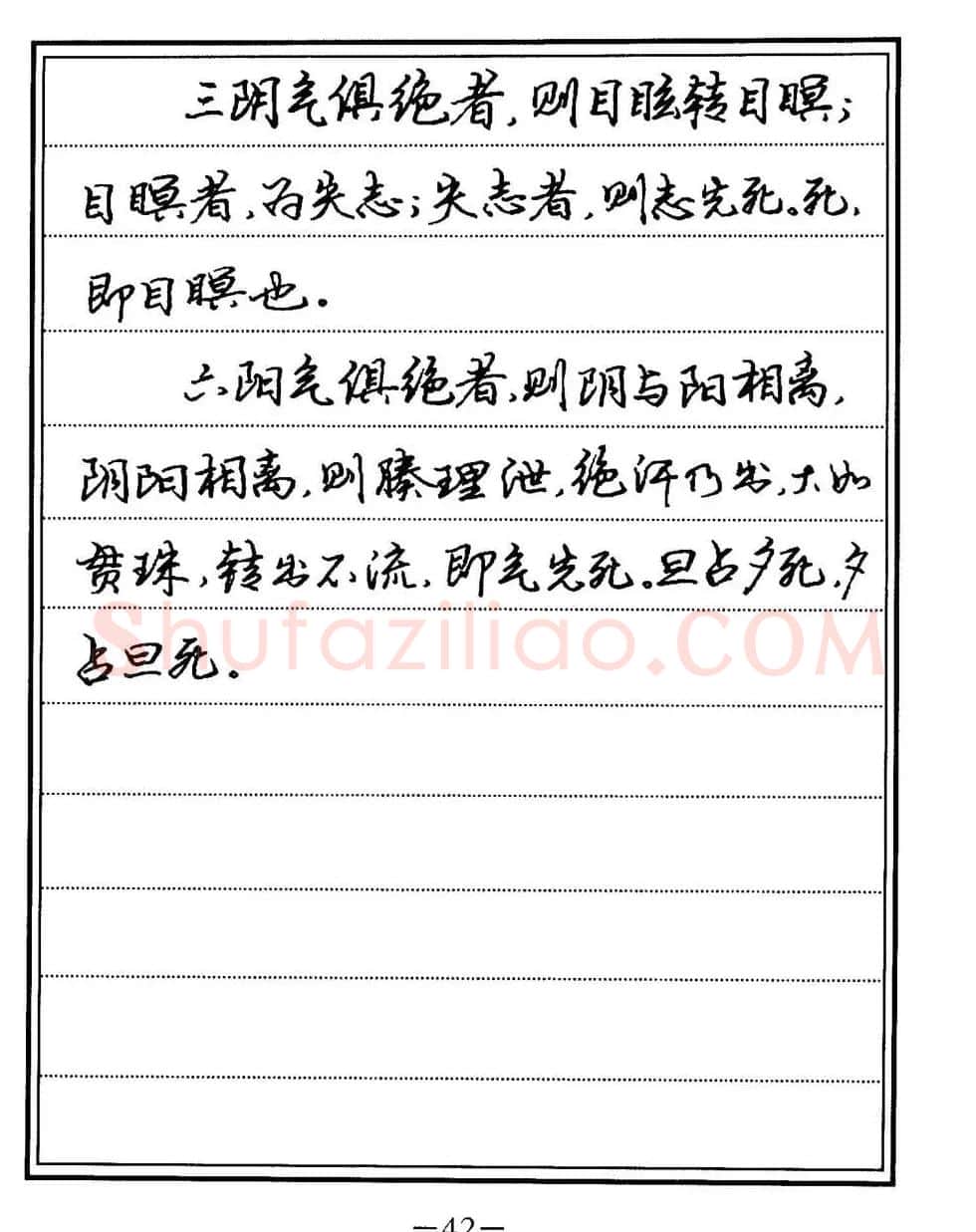 苏德生书法《中医经典钢笔字帖难经》 | 硬笔书法字帖