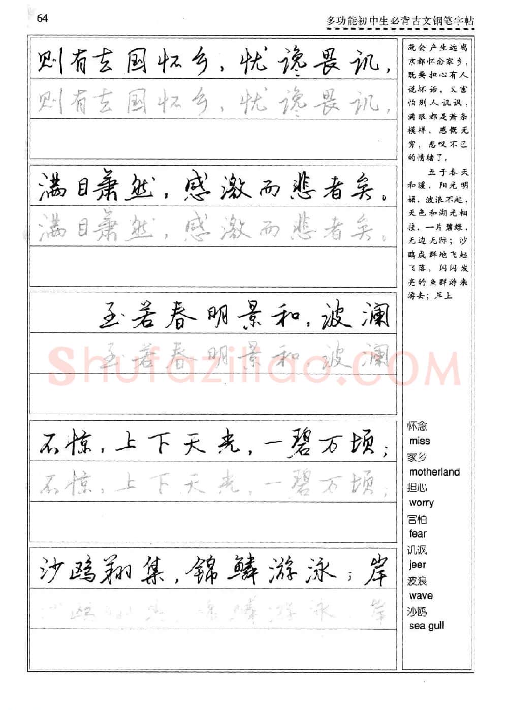 任平钢笔行书字帖《初中生必背古文》 | 硬笔书法字帖