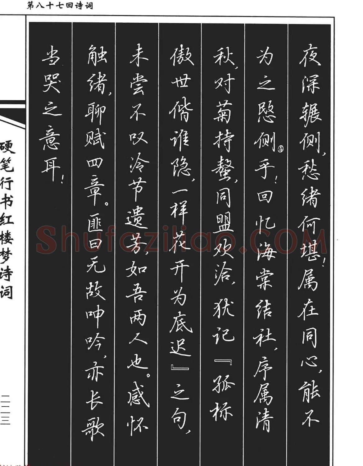 吴玉生钢笔字帖欣赏《硬笔行书红楼梦诗词》 | 硬笔书法字帖