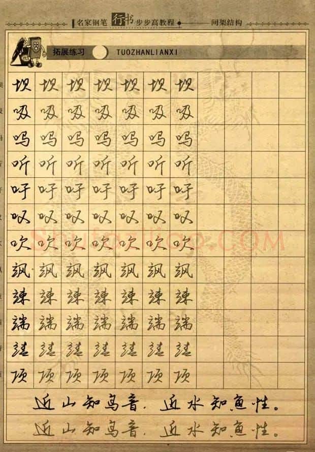 名家钢笔行书字帖：间架结构教程 | 钢笔书法字帖