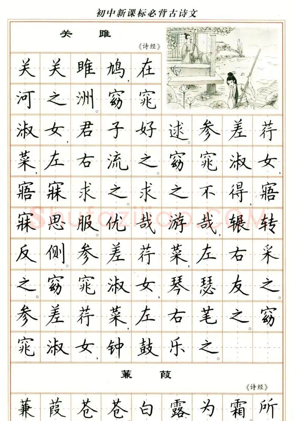 卢中南钢笔楷书字帖《初中新课标必背古诗文》 | 钢笔书法字帖